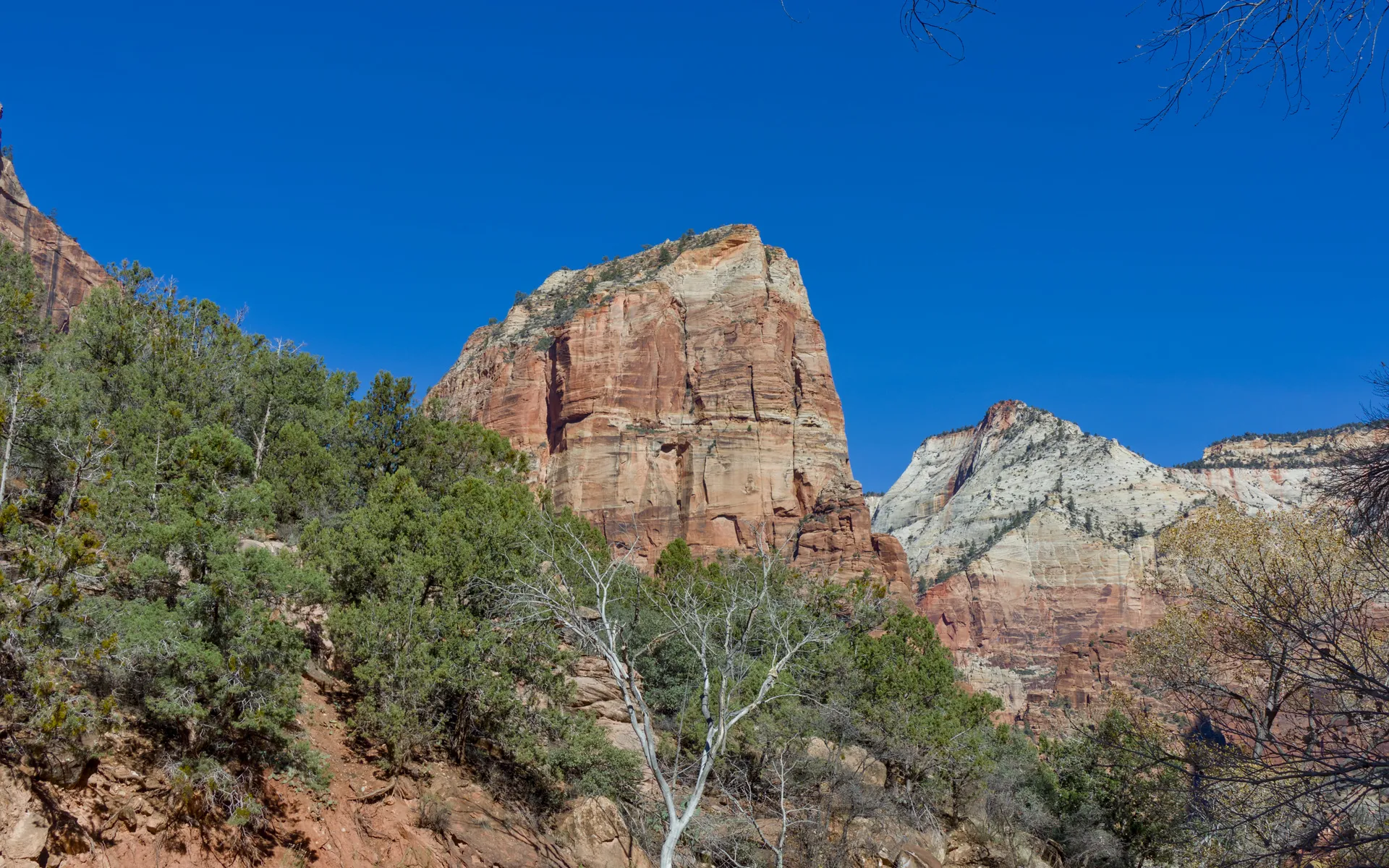 Angel's Landing - photo 1