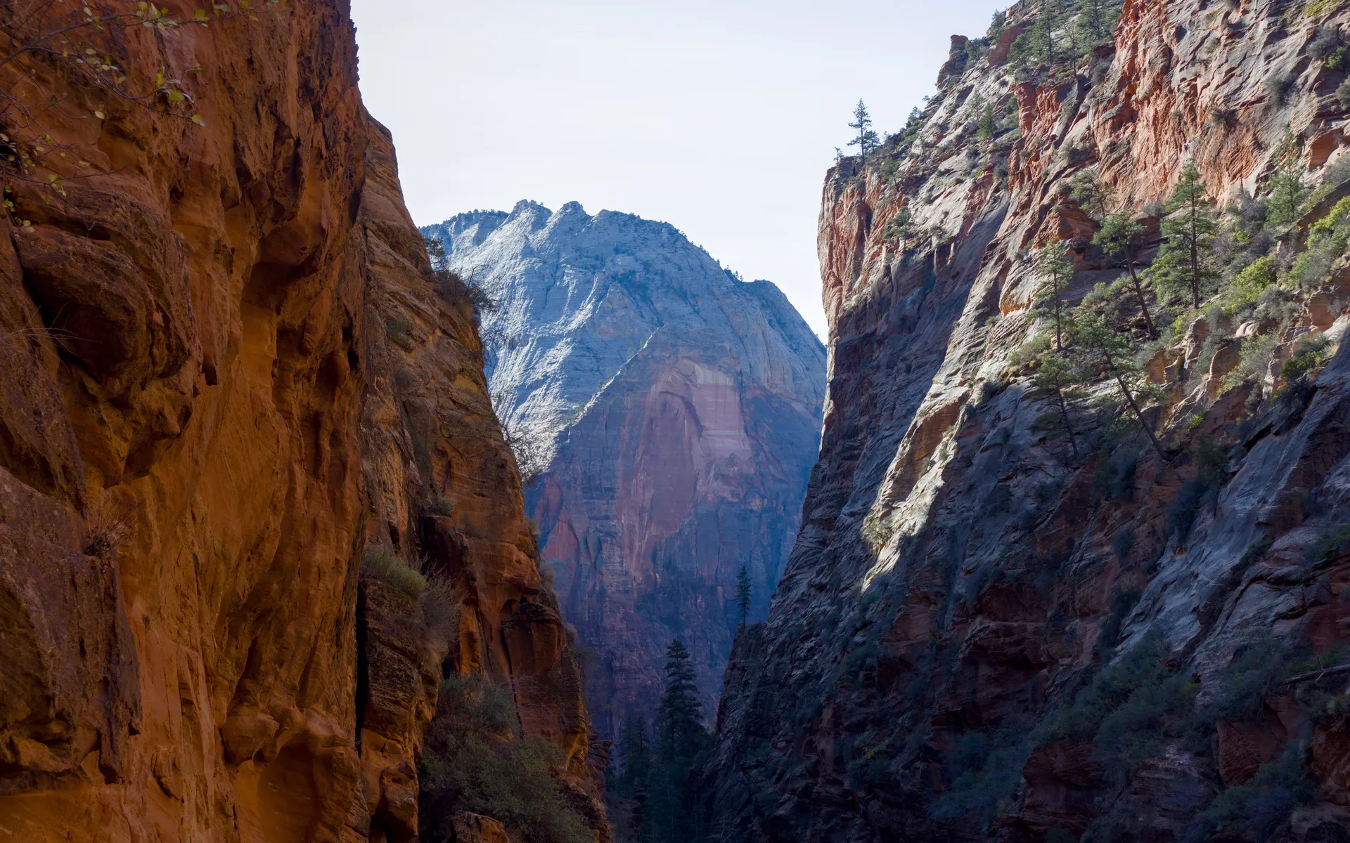 Angel's Landing - photo 5