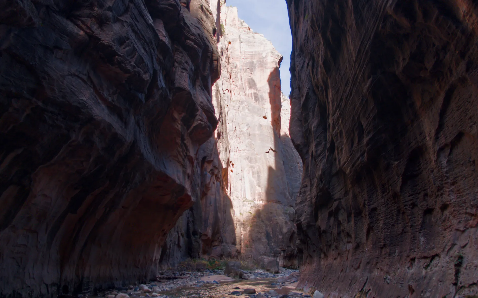 Zion Narrows - photo 2
