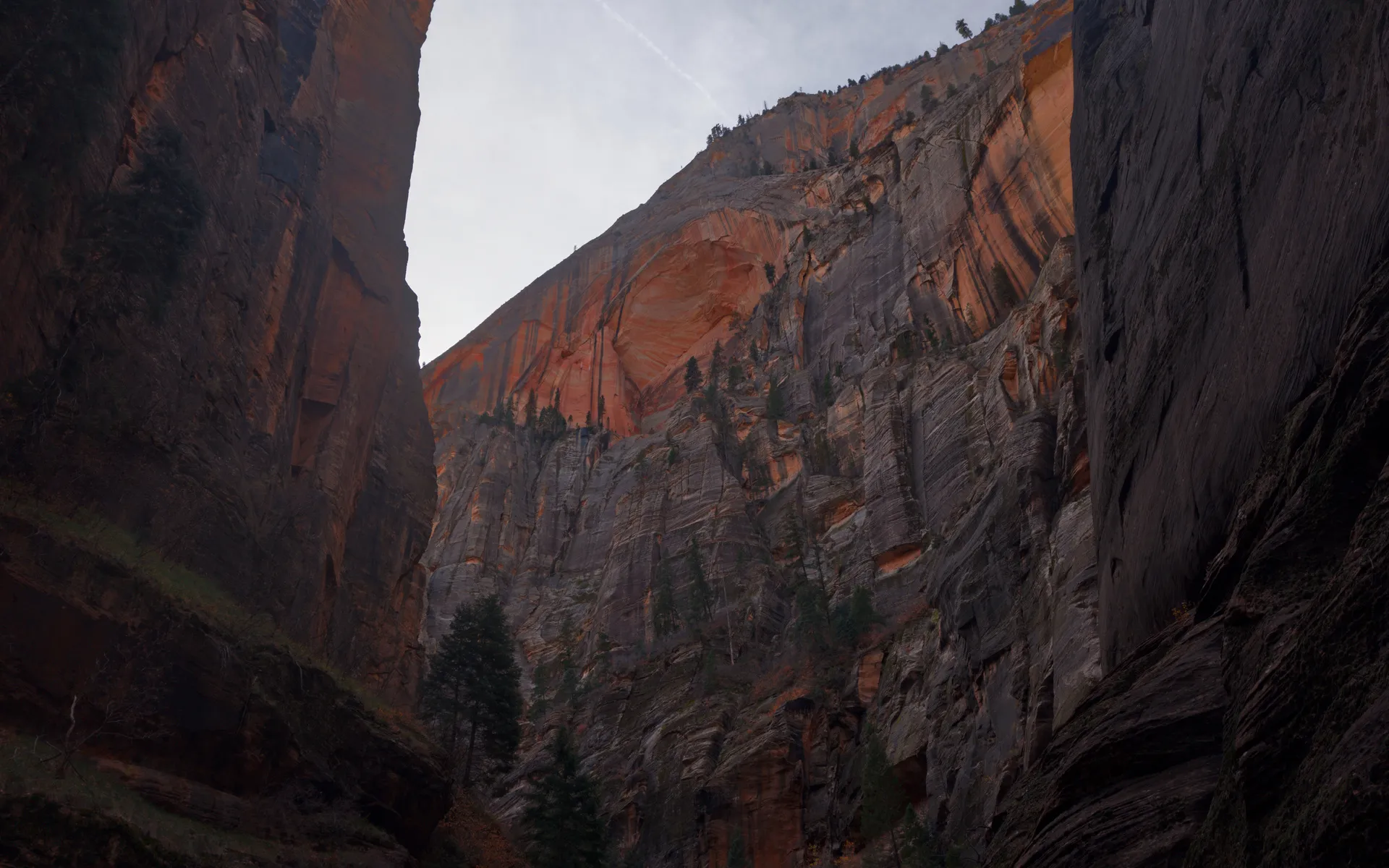Zion Narrows - photo 3