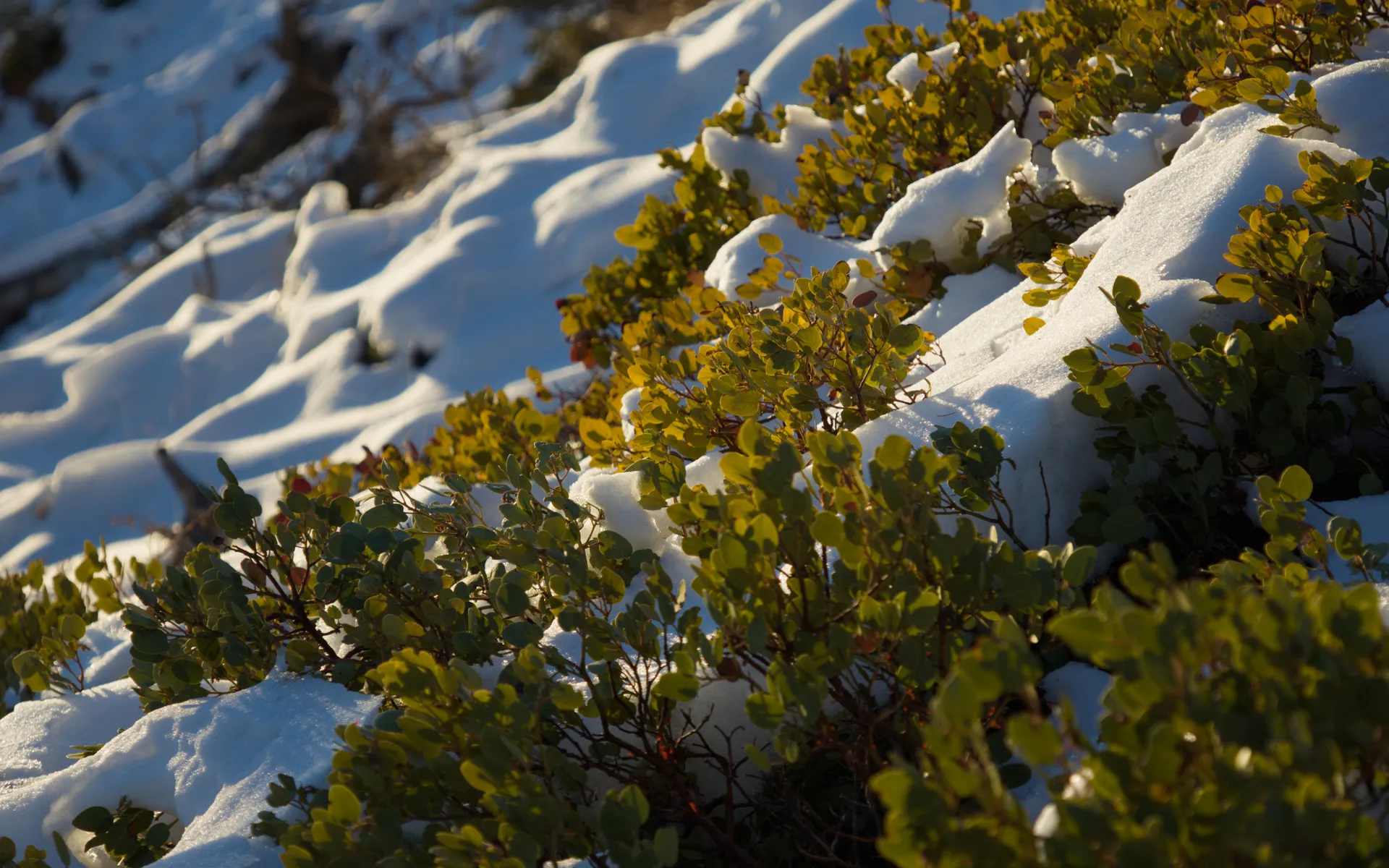Bryce Canyon
National Park - photo 3