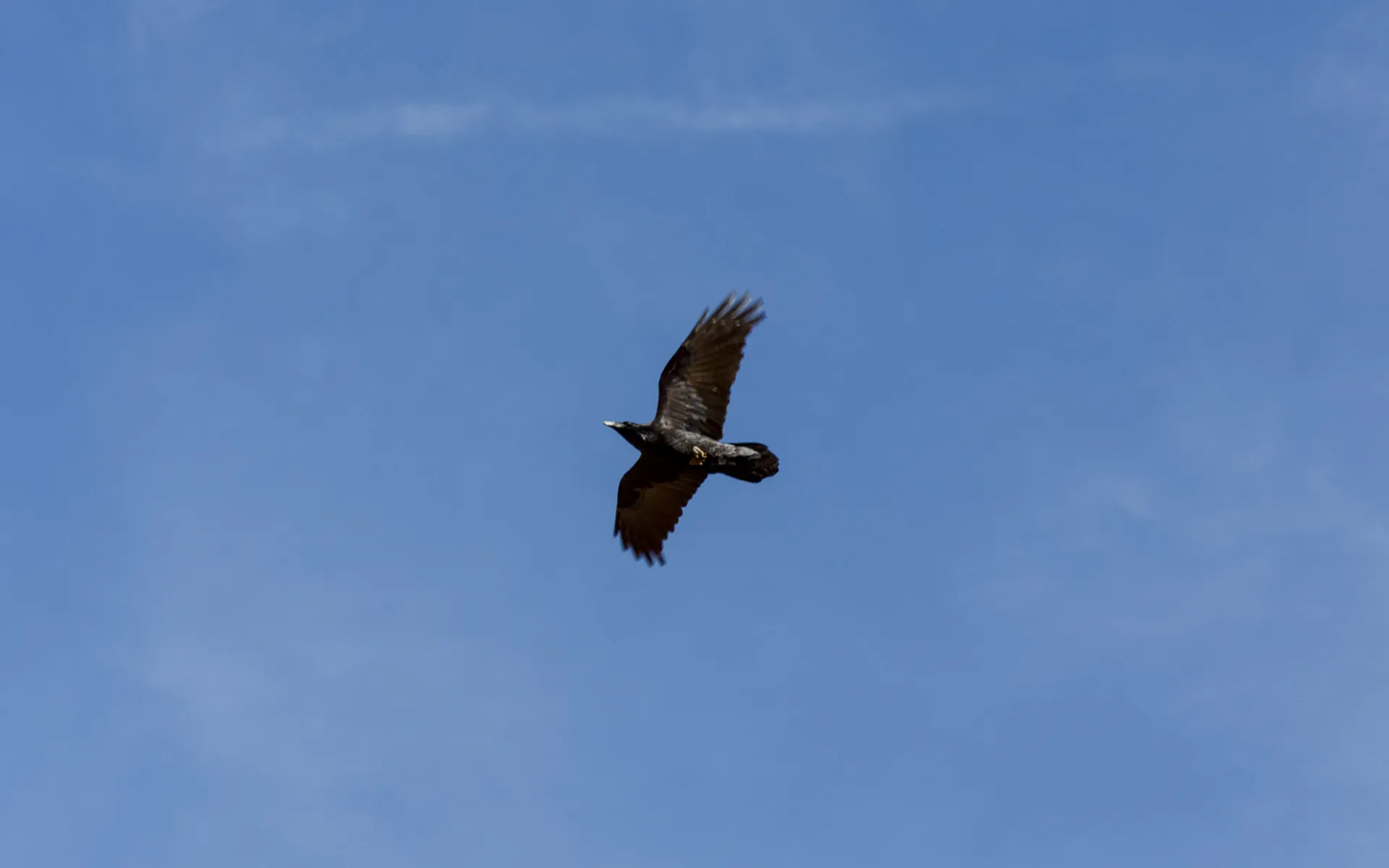 Bryce Canyon
National Park - photo 5
