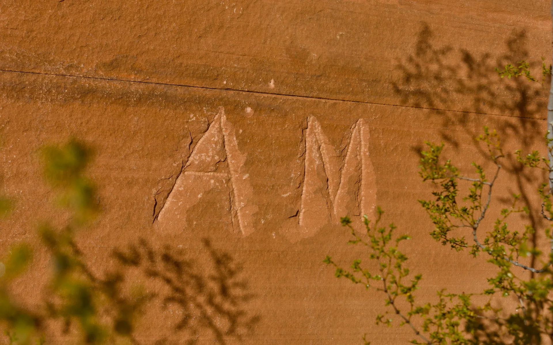 Red Rock Canyon - photo 5