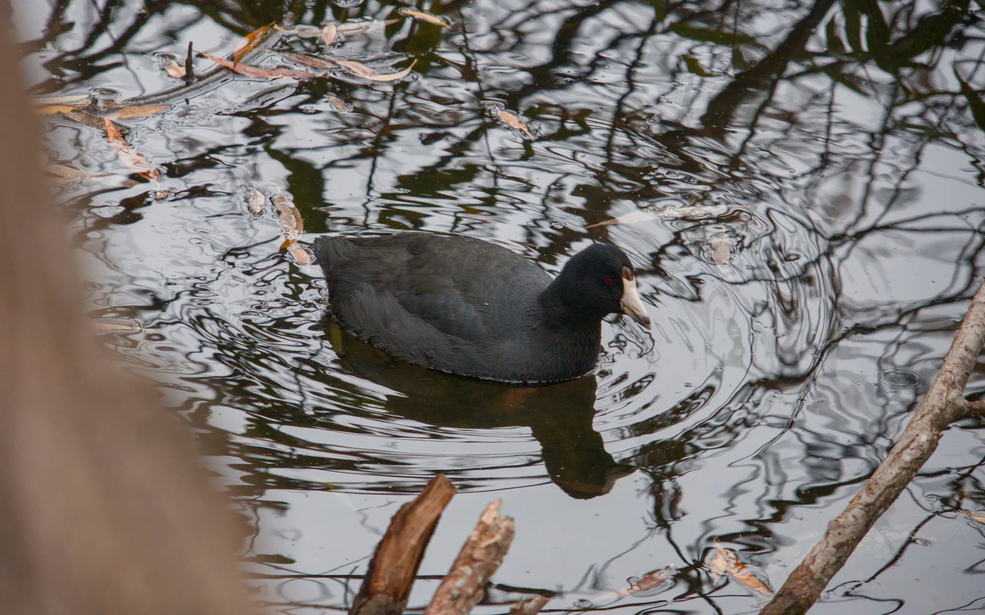 Garin Regional Park - photo 4