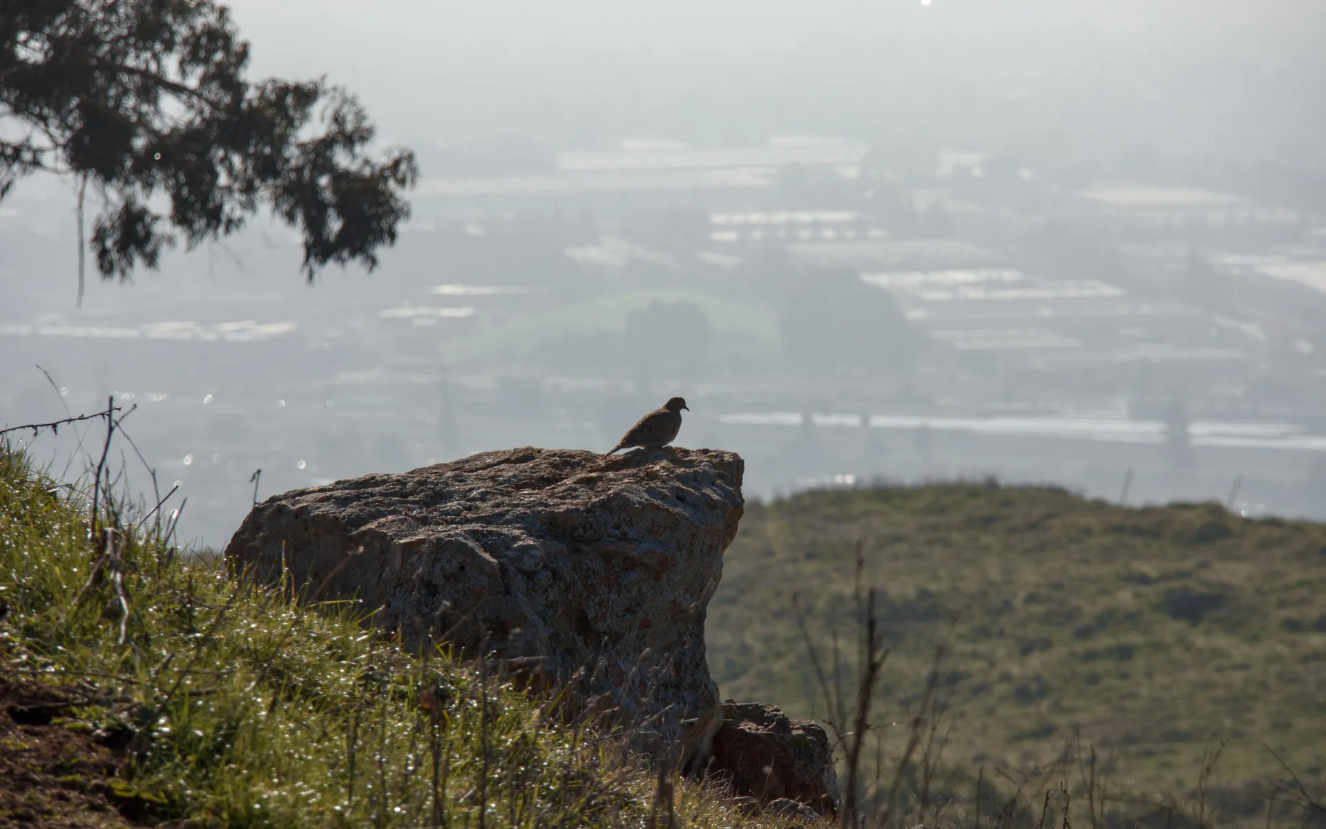 Garin Regional Park - photo 5