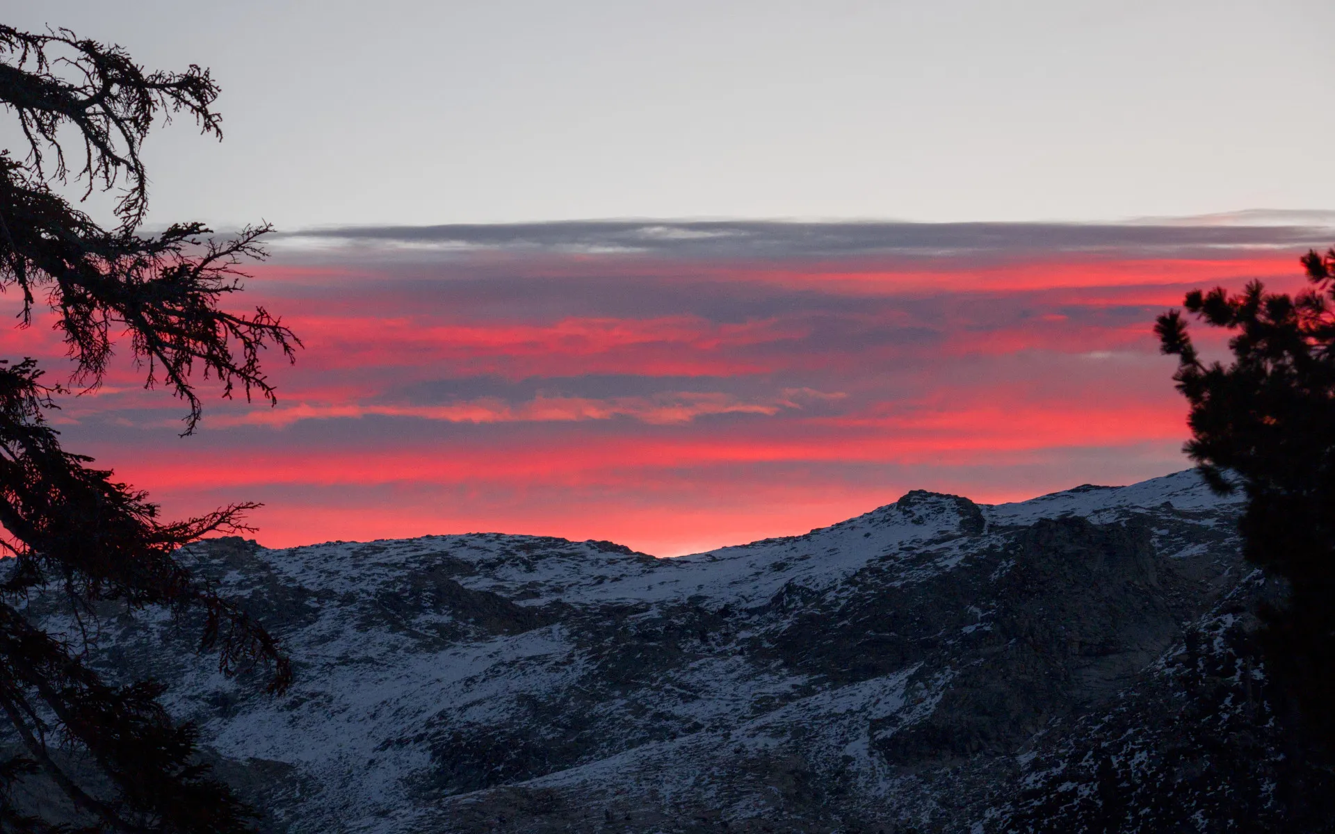 Sequoia National Park - photo 4
