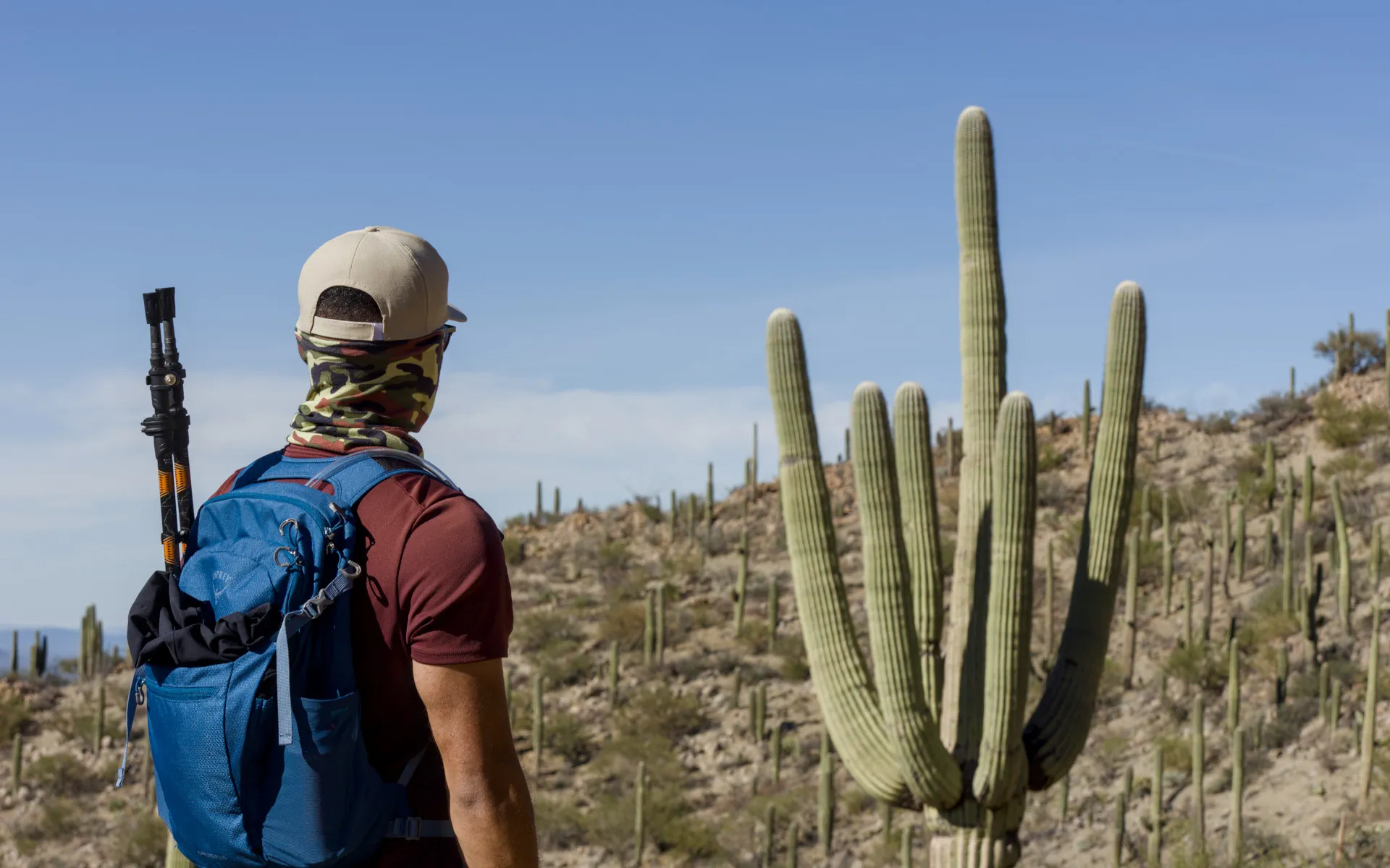 Saguaro West - photo 1
