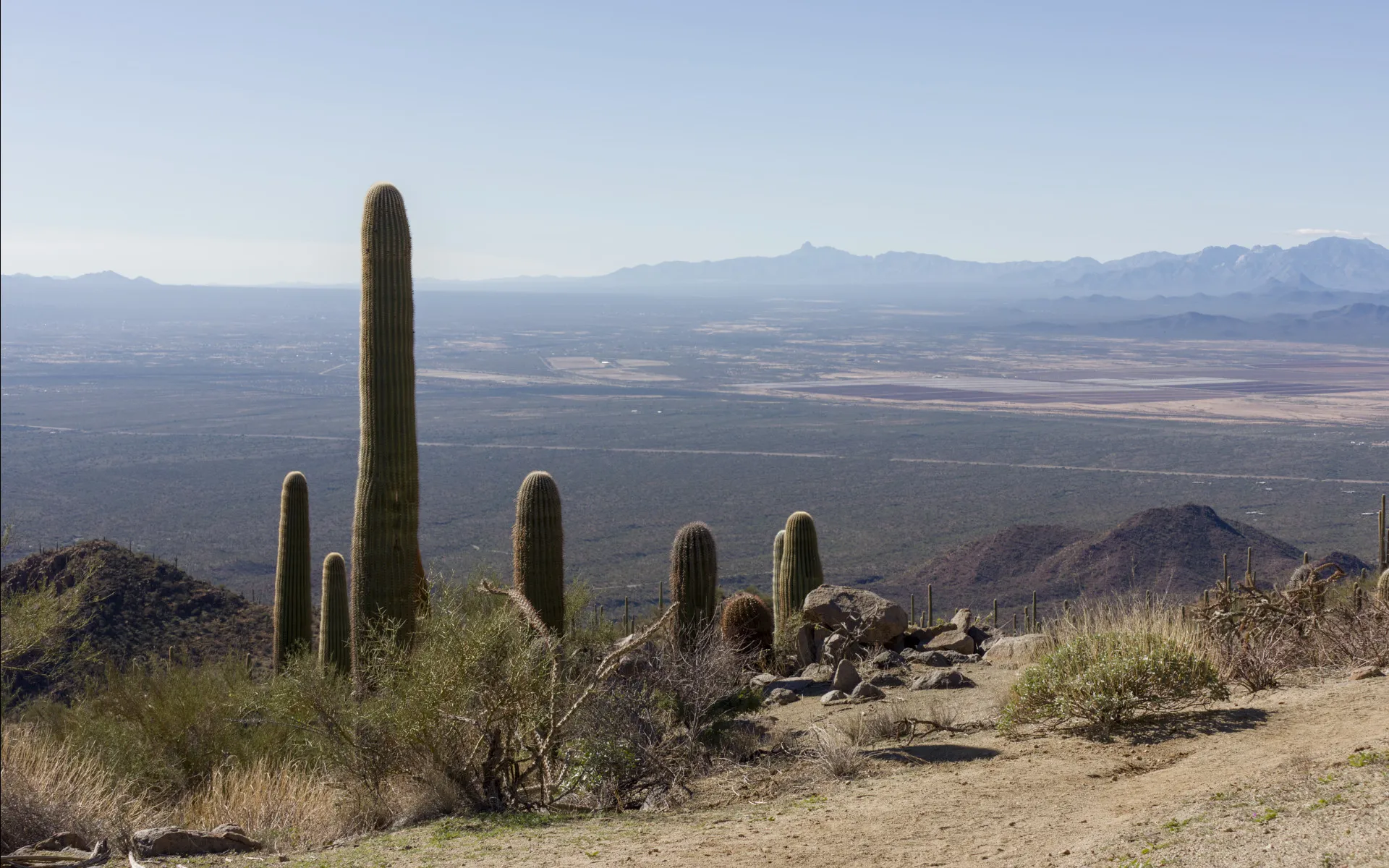 Saguaro West - photo 3