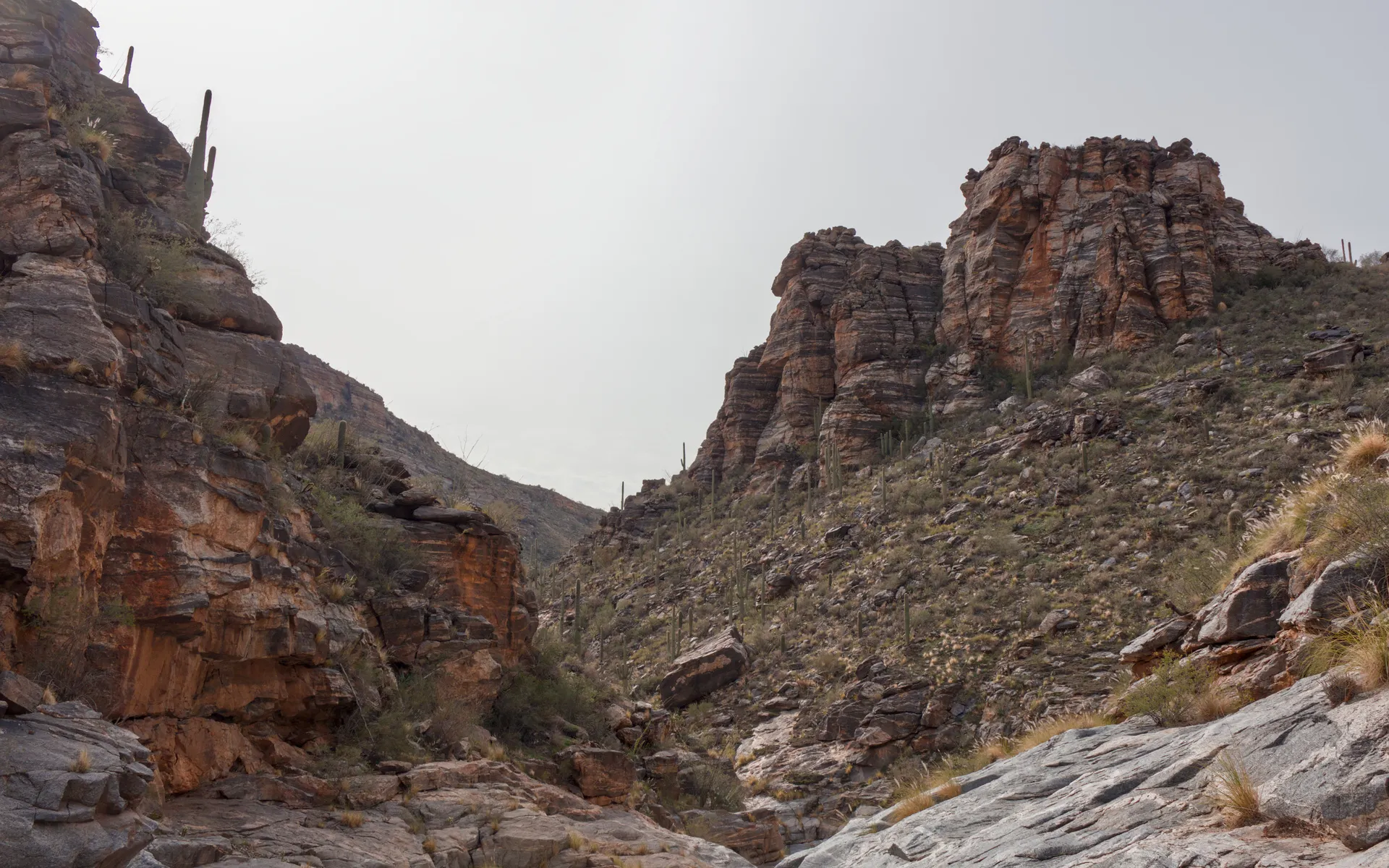 Sabino Canyon - photo 1