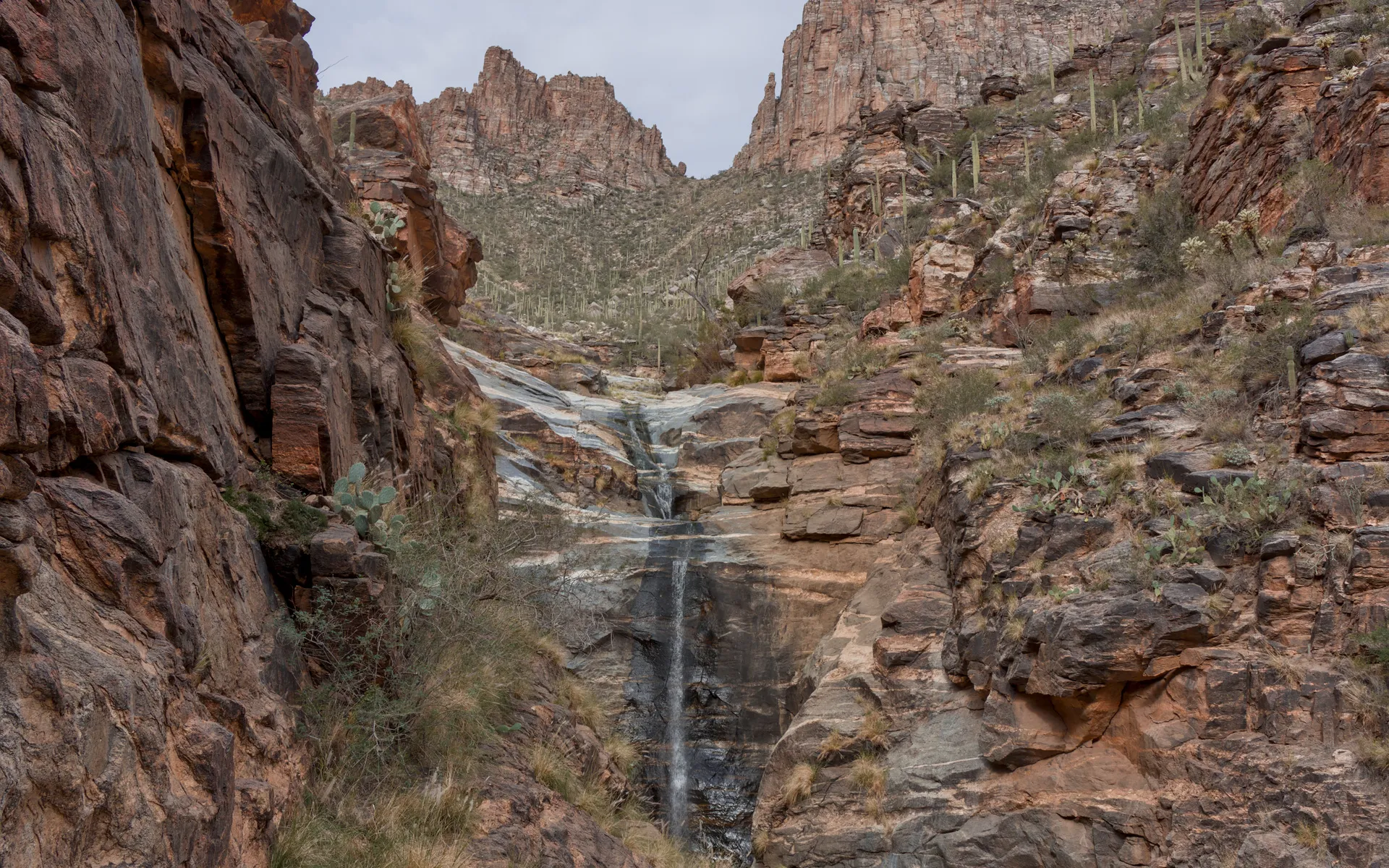 Sabino Canyon - photo 2