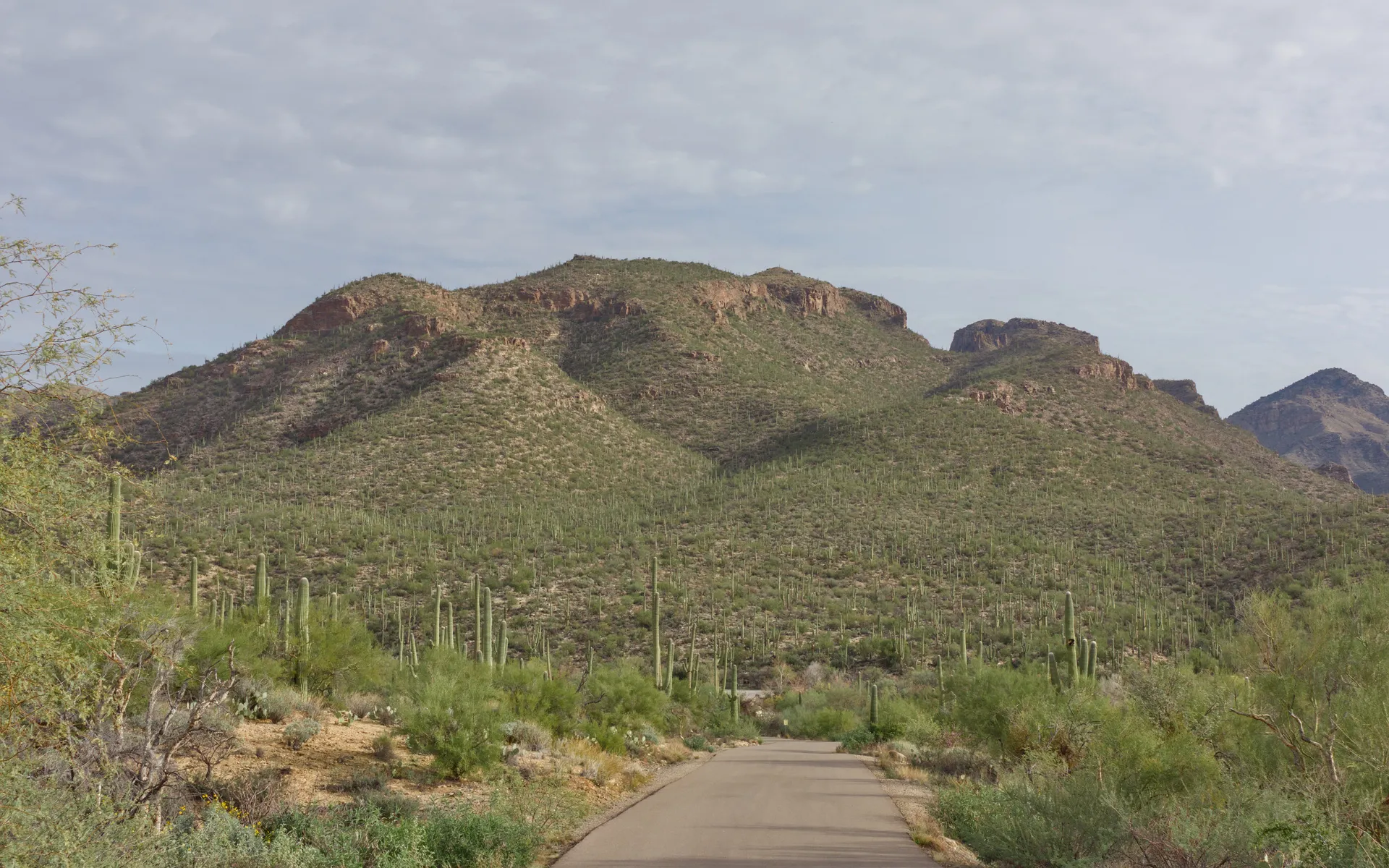 Sabino Canyon - photo 3