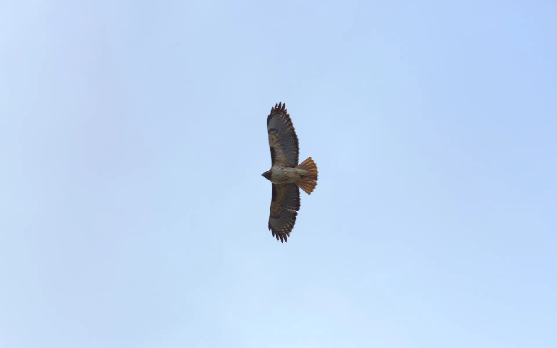 Fort Bowie - photo 5