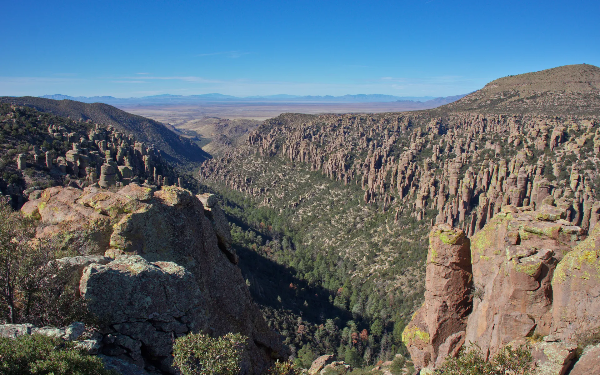 Chiricahua Mountains - photo 3