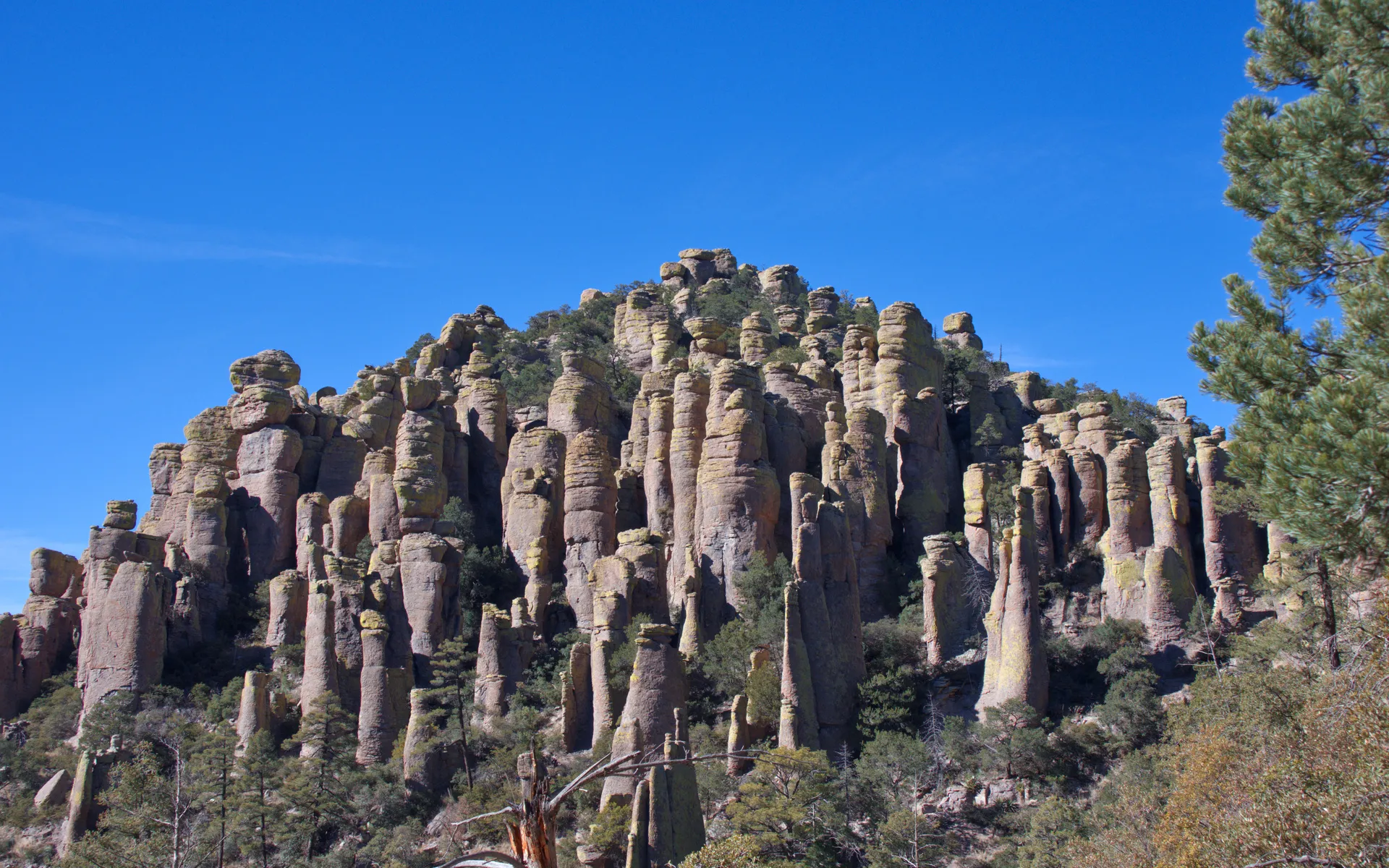 Chiricahua Mountains - photo 4