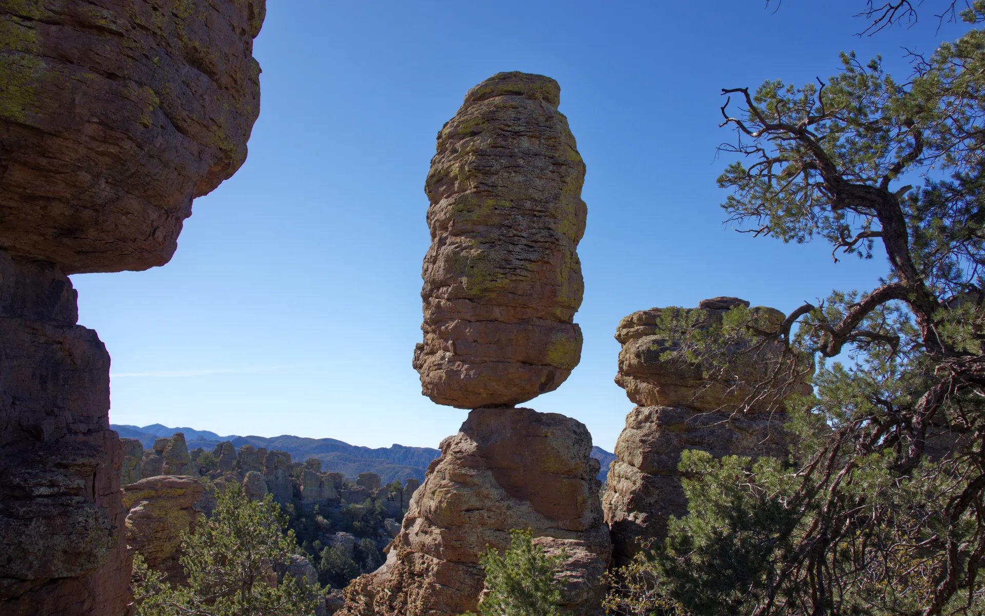 Chiricahua Mountains - photo 5