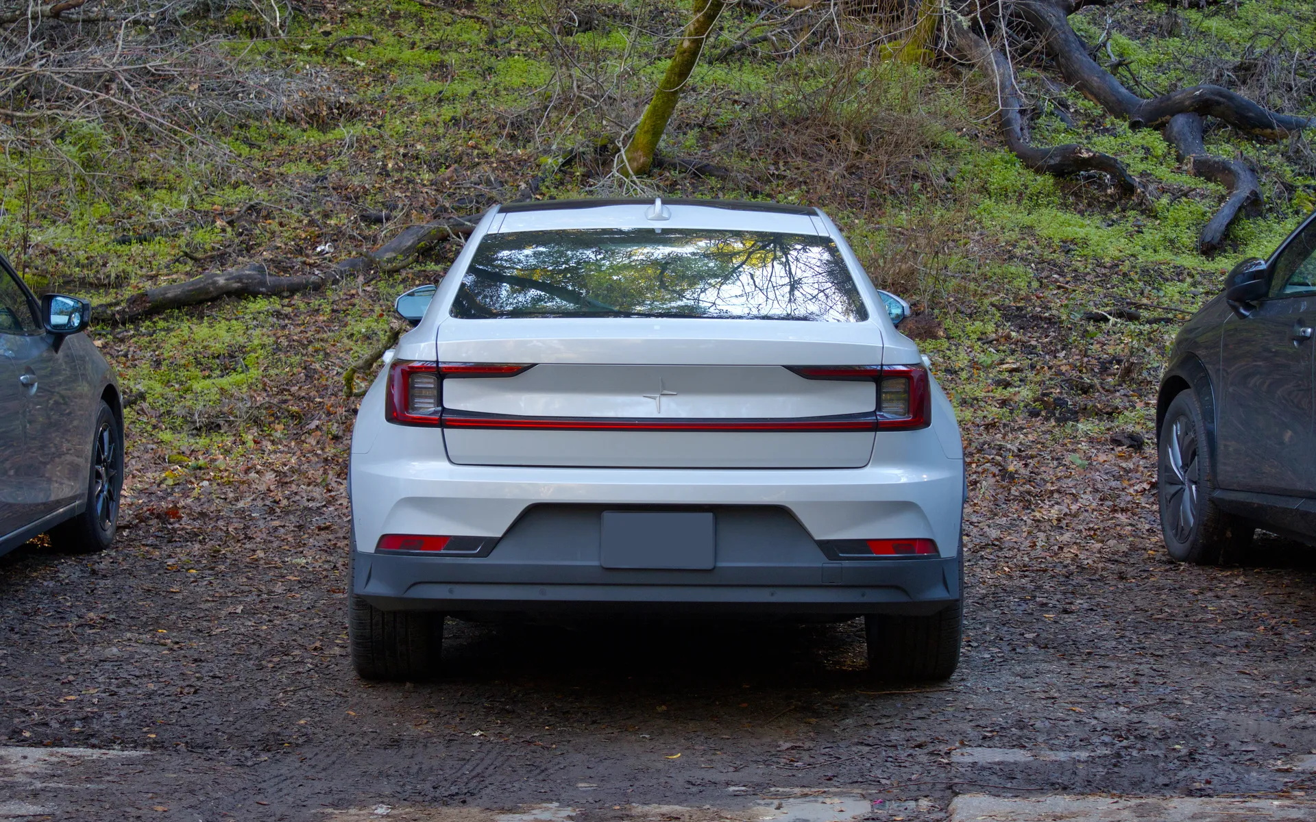 Foothills Preserve - photo 2