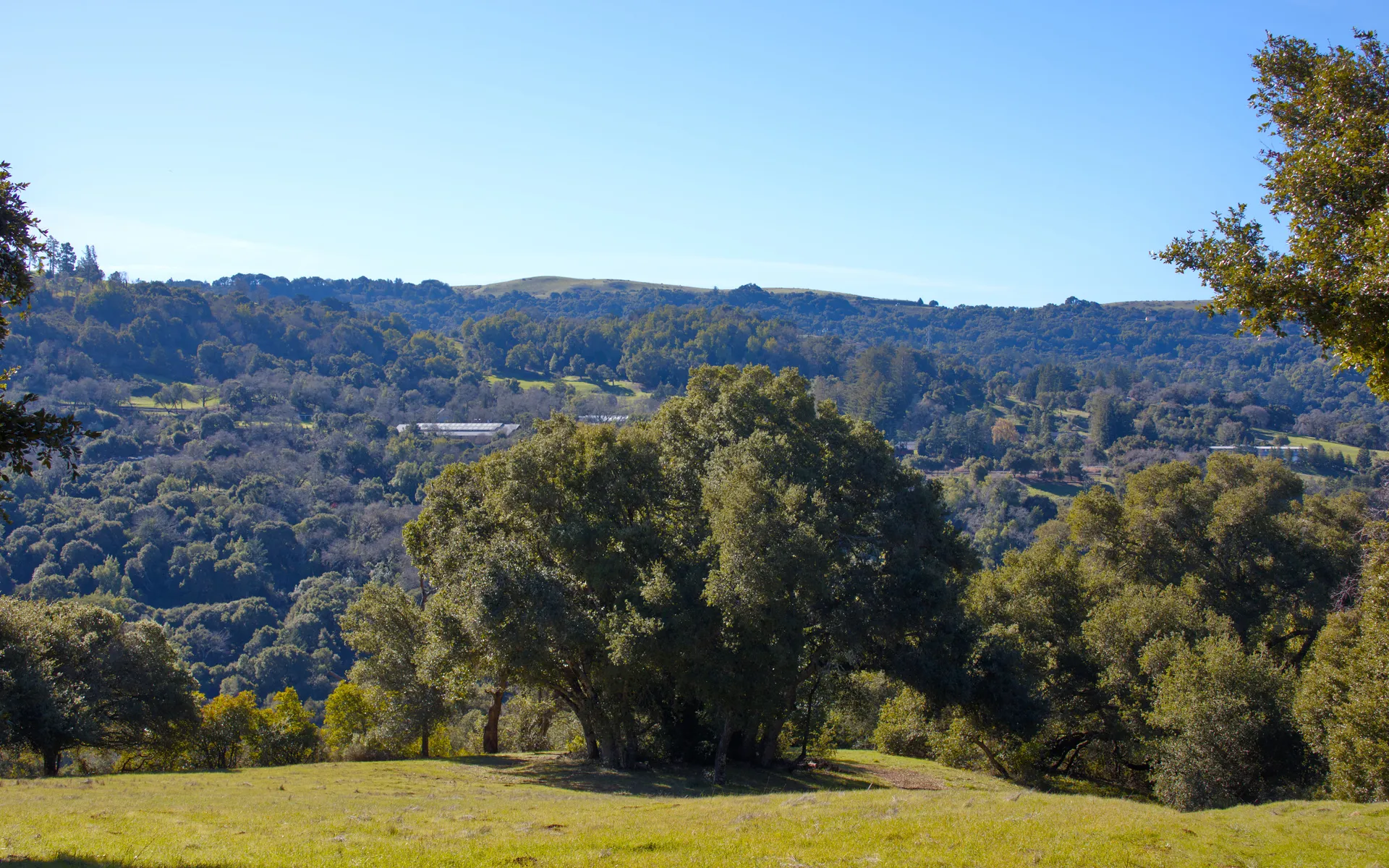 Foothills Preserve - photo 3