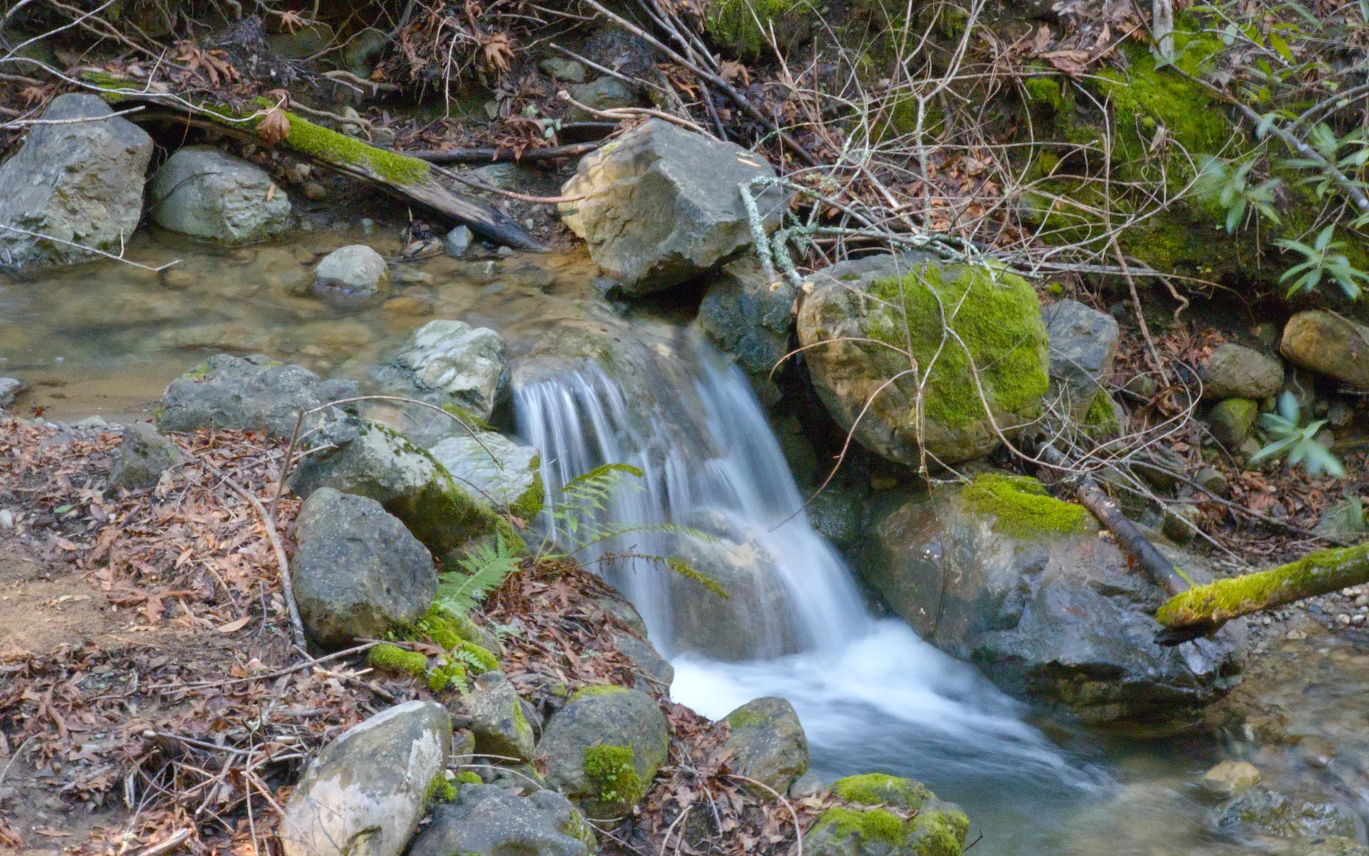 Foothills Preserve - photo 4