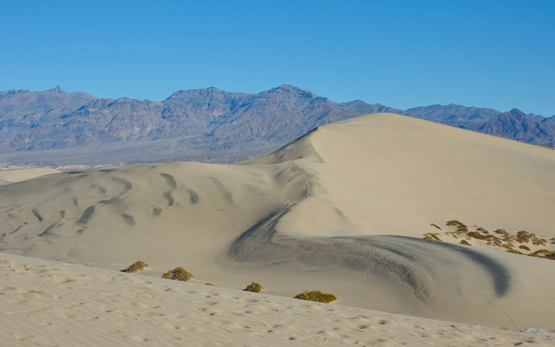 Mesquite Flat
Sand Dunes - photo 1