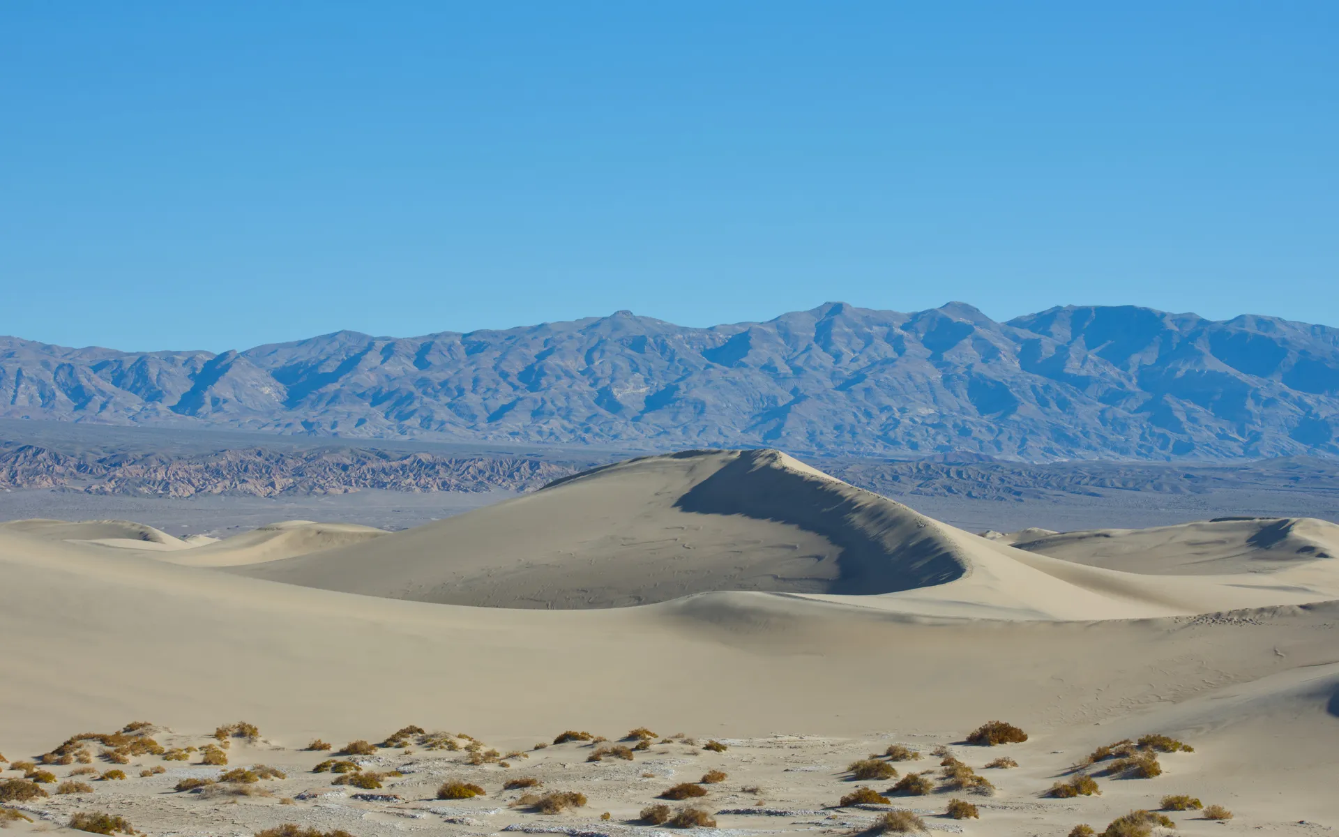 Mesquite Flat
Sand Dunes - photo 4