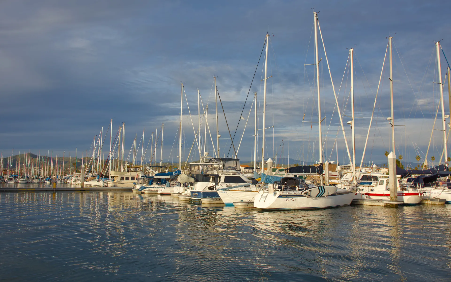 Channel Islands - photo 4