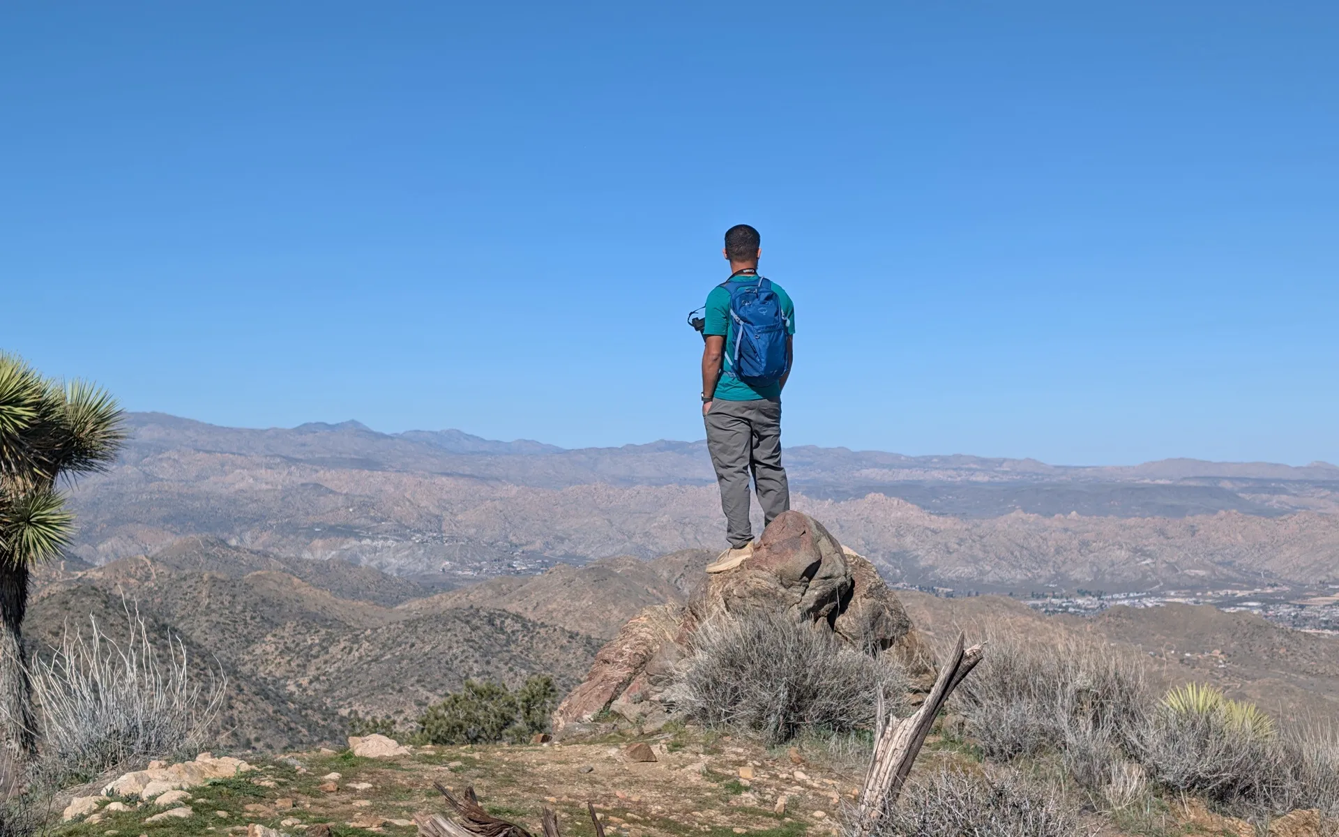 Joshua Tree - photo 1