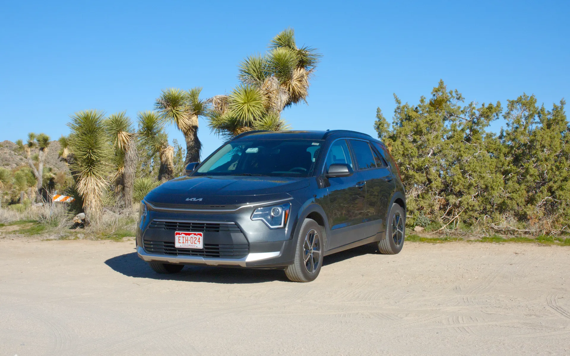 Joshua Tree - photo 2