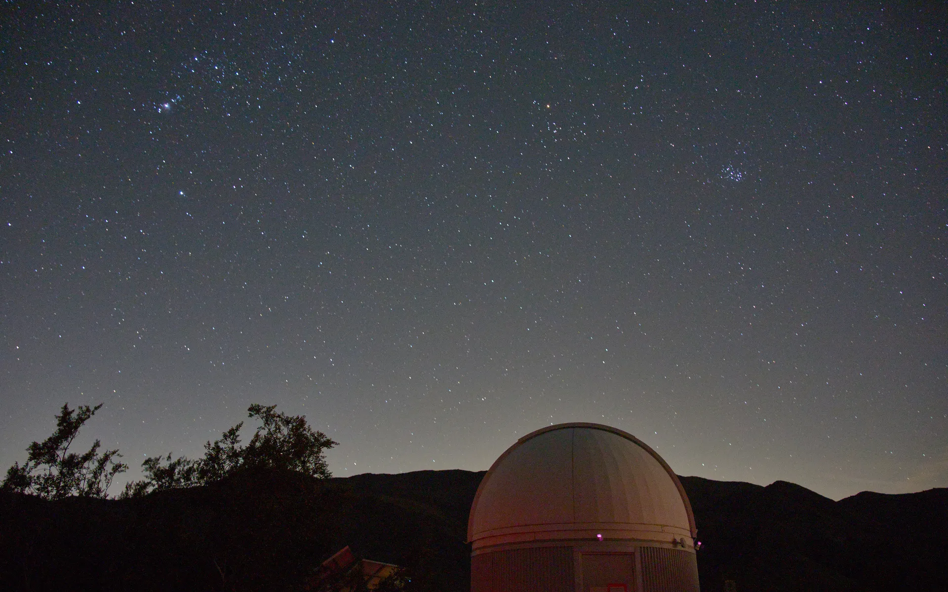 Joshua Tree - photo 5
