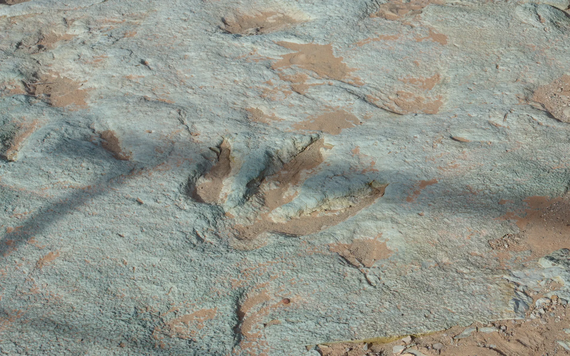 Delicate Arch - photo 5