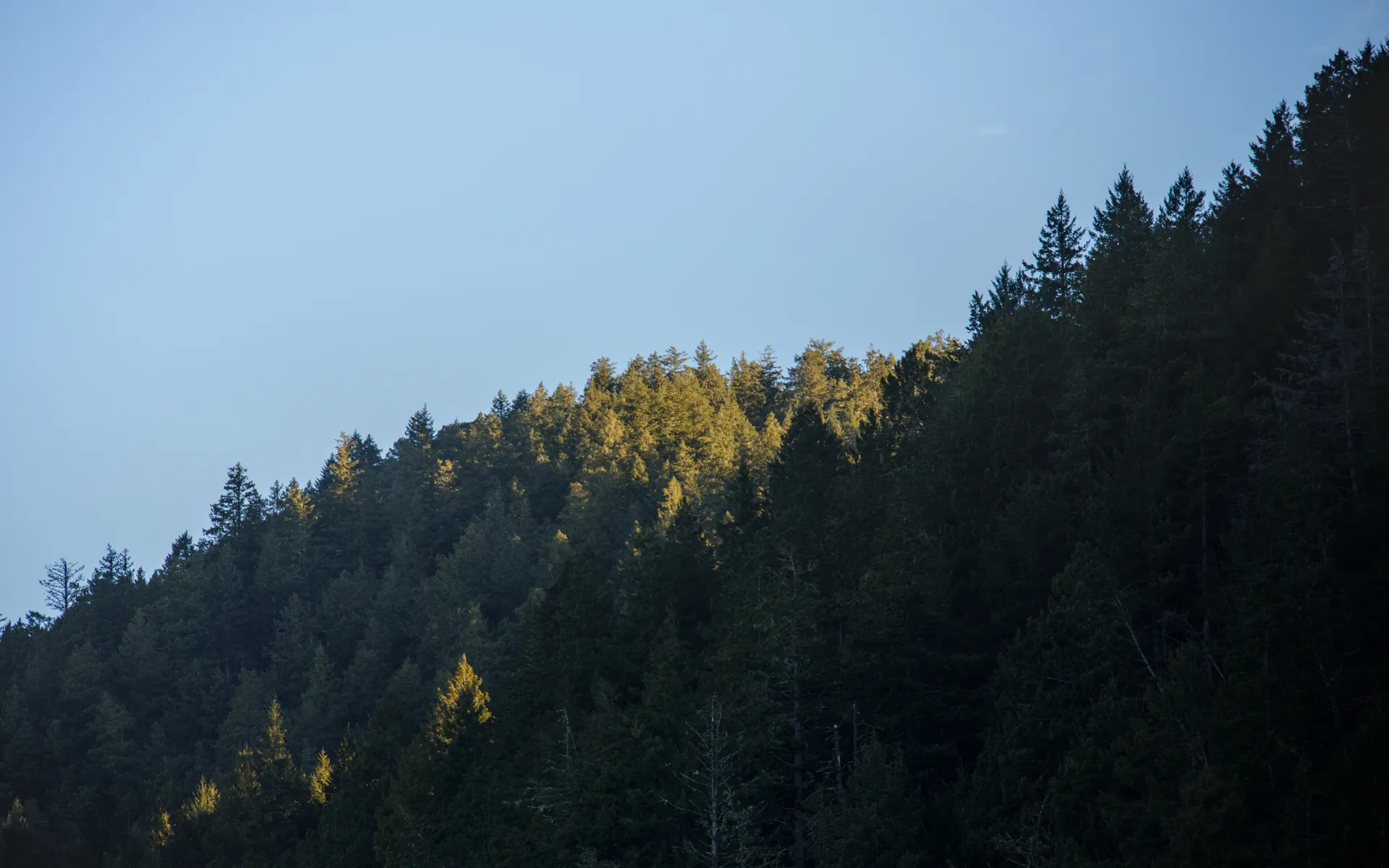 Lost Coast - photo 4