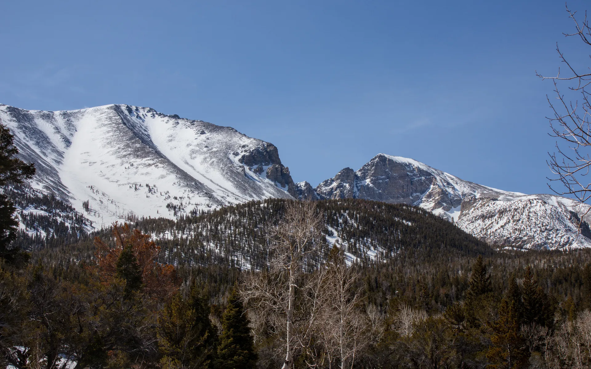 Great Basin - photo 4