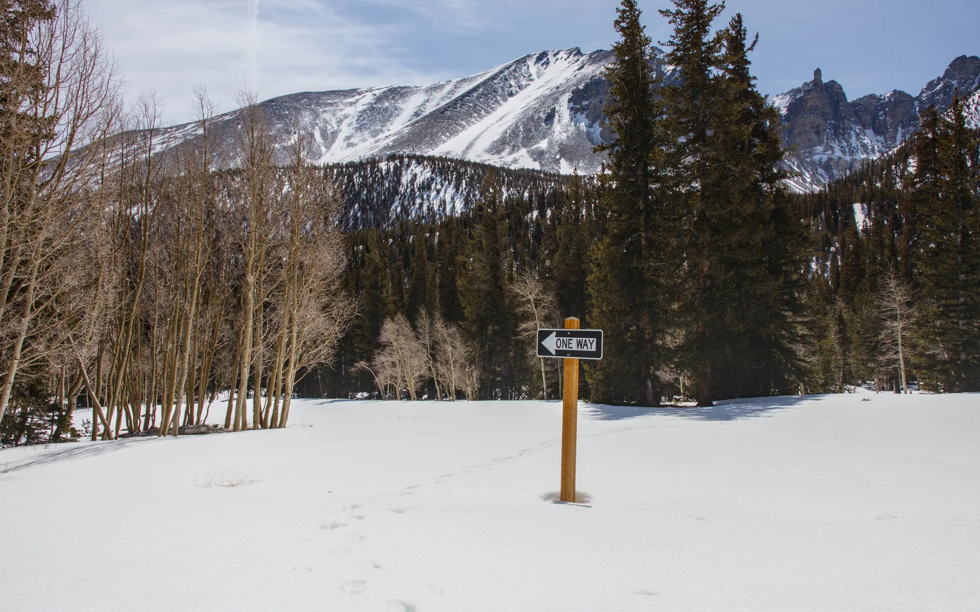 Great Basin - photo 5