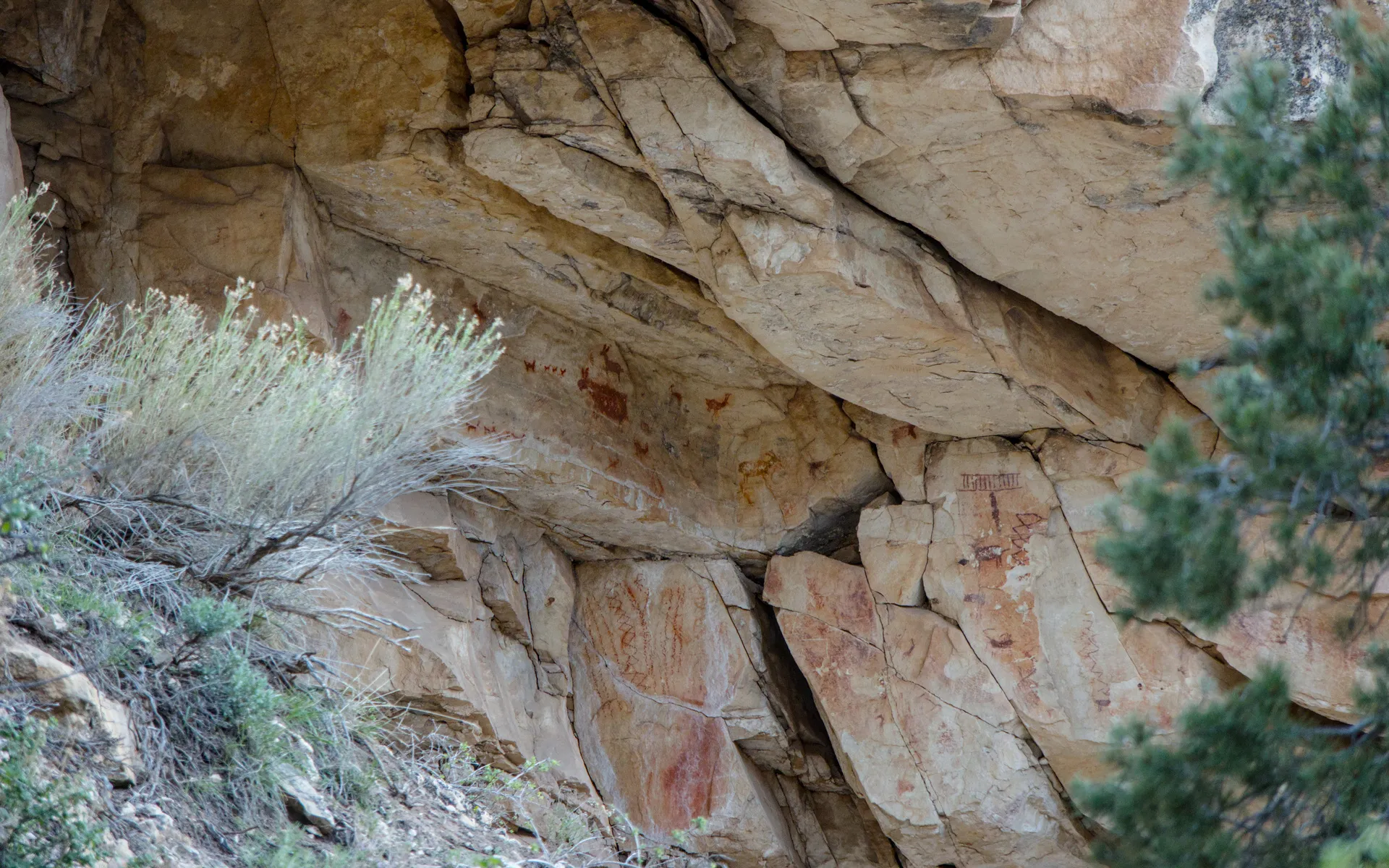 Grand Canyon - photo 5