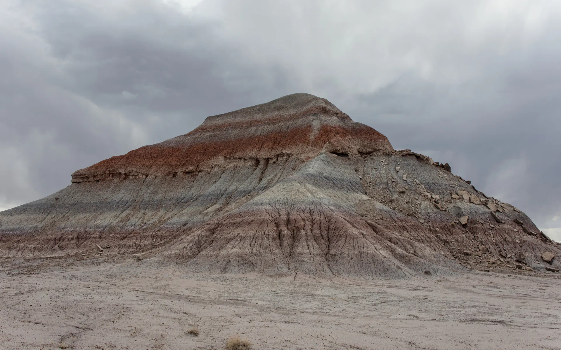 Petrified Forest - photo 1