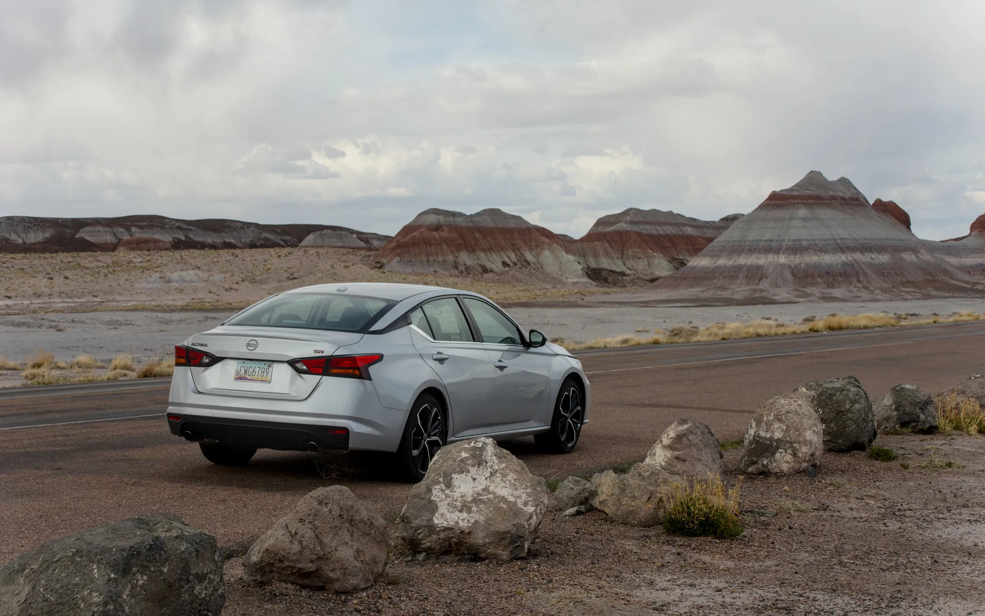 Petrified Forest - photo 2