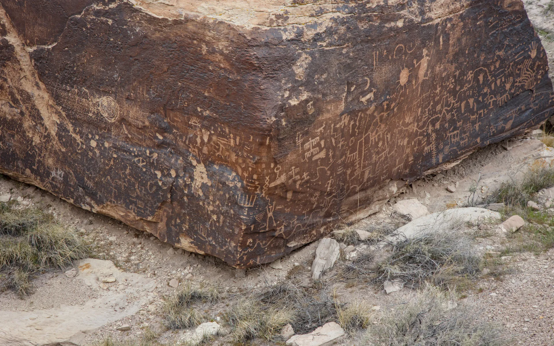Petrified Forest - photo 5