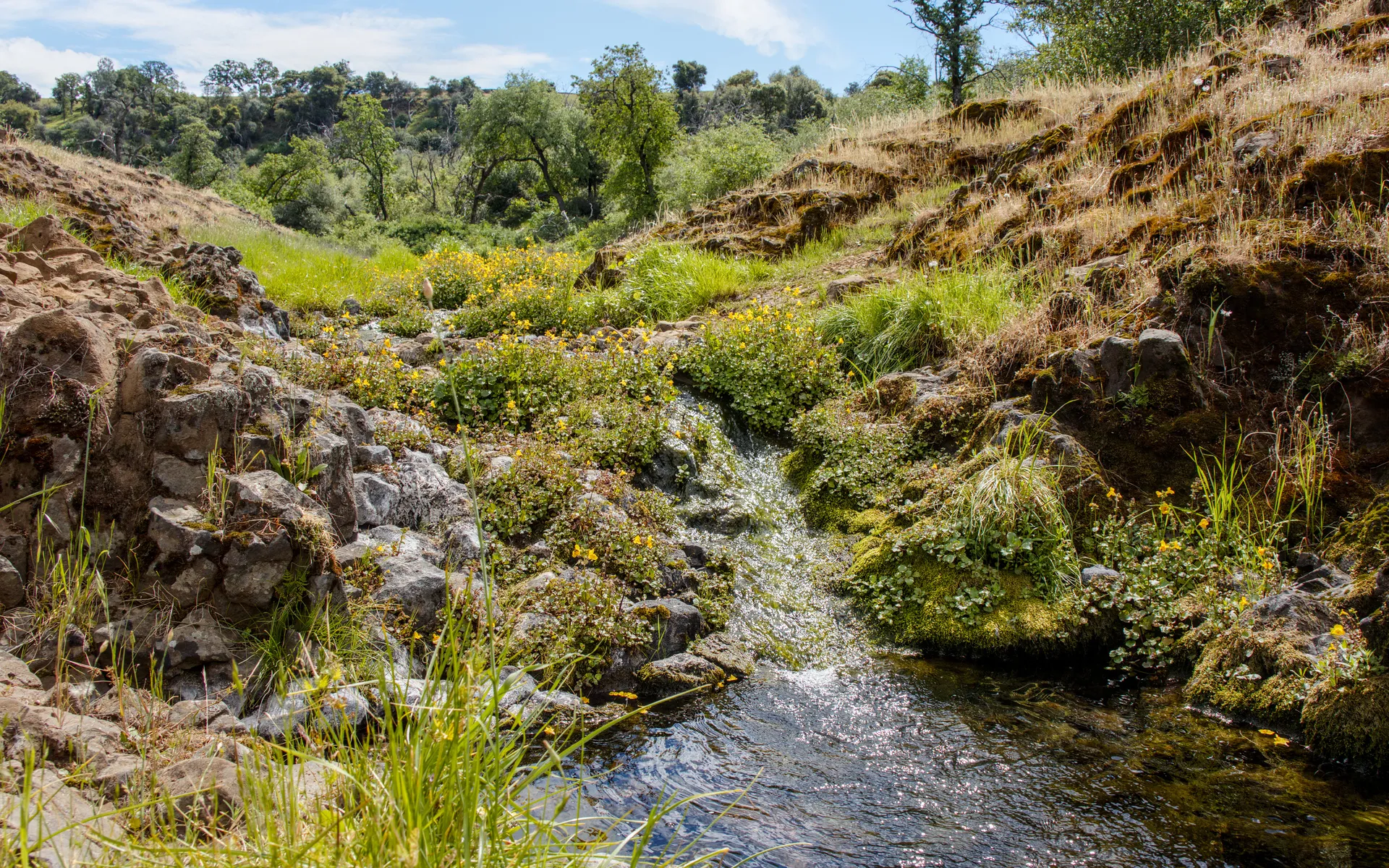 Phantom Falls - photo 4