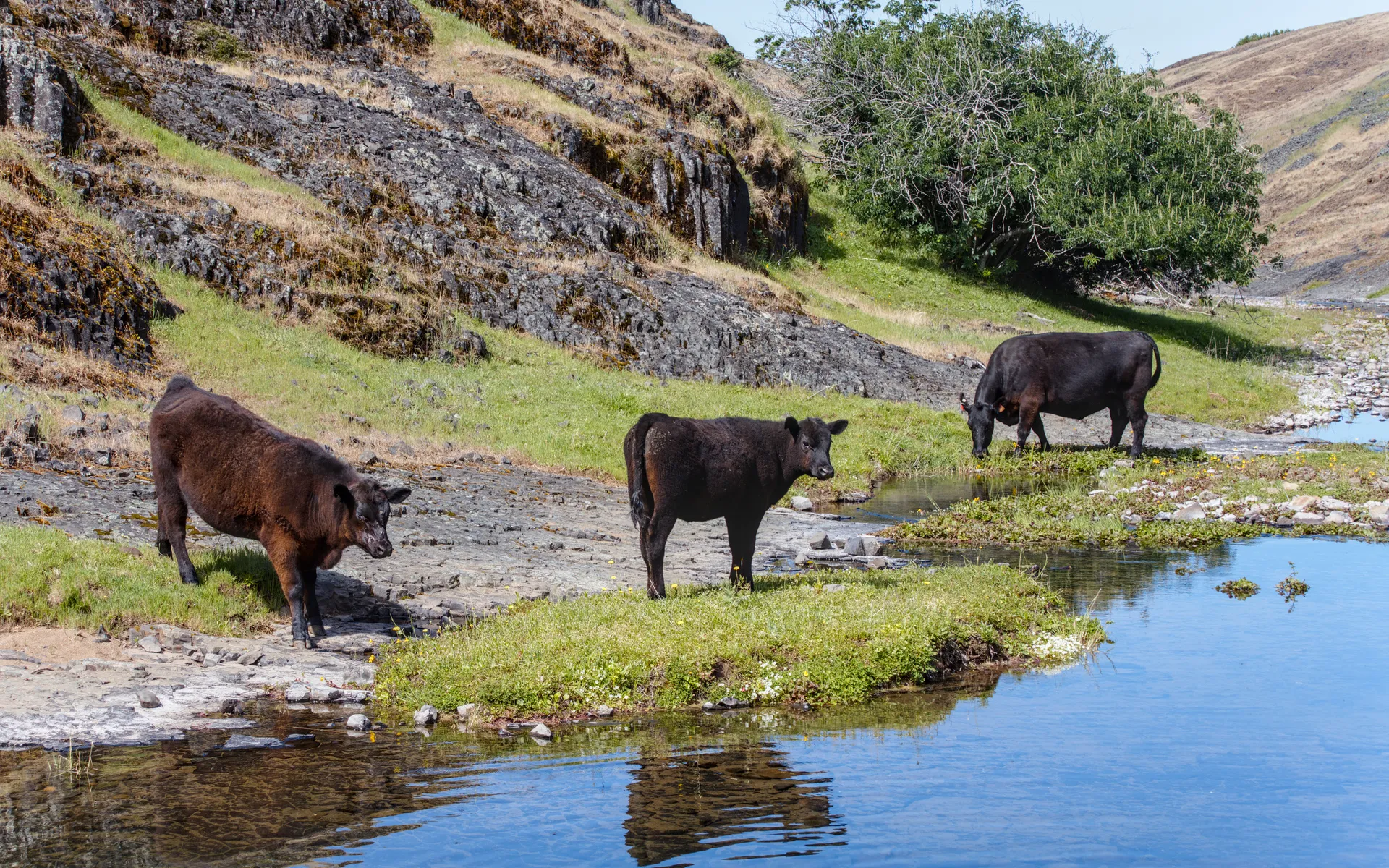 Phantom Falls - photo 5