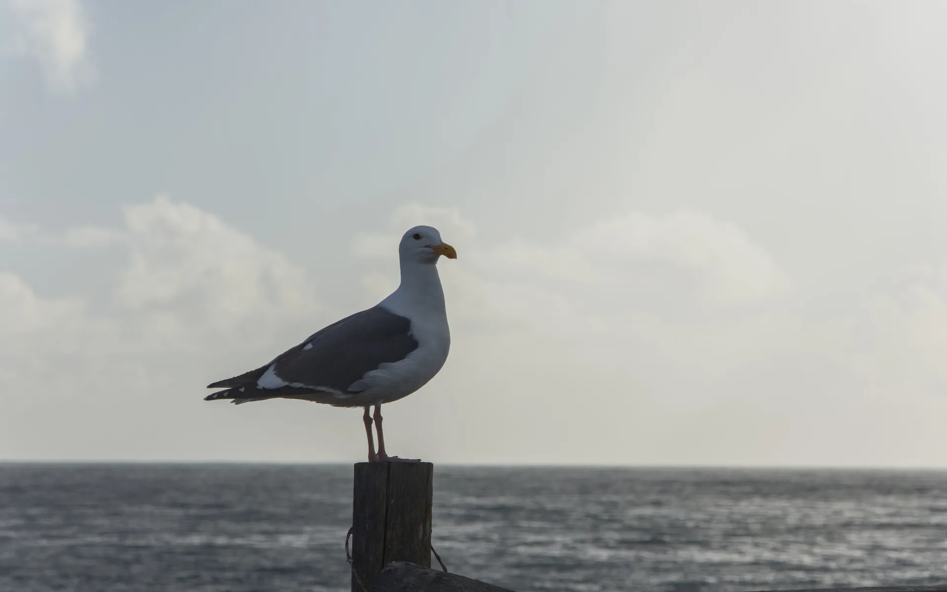Montaña de Oro - photo 5