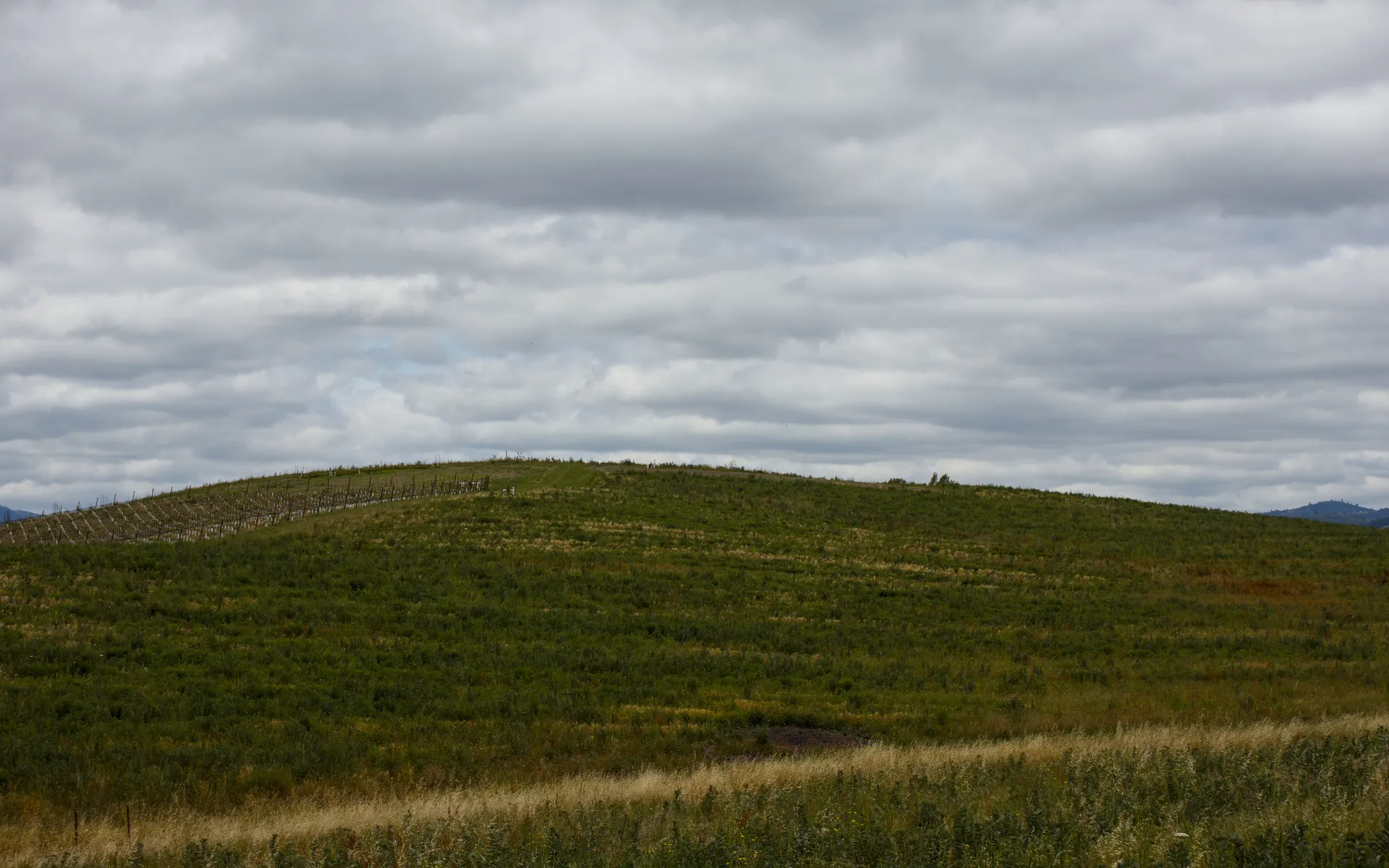 Lake Hennessey - photo 3