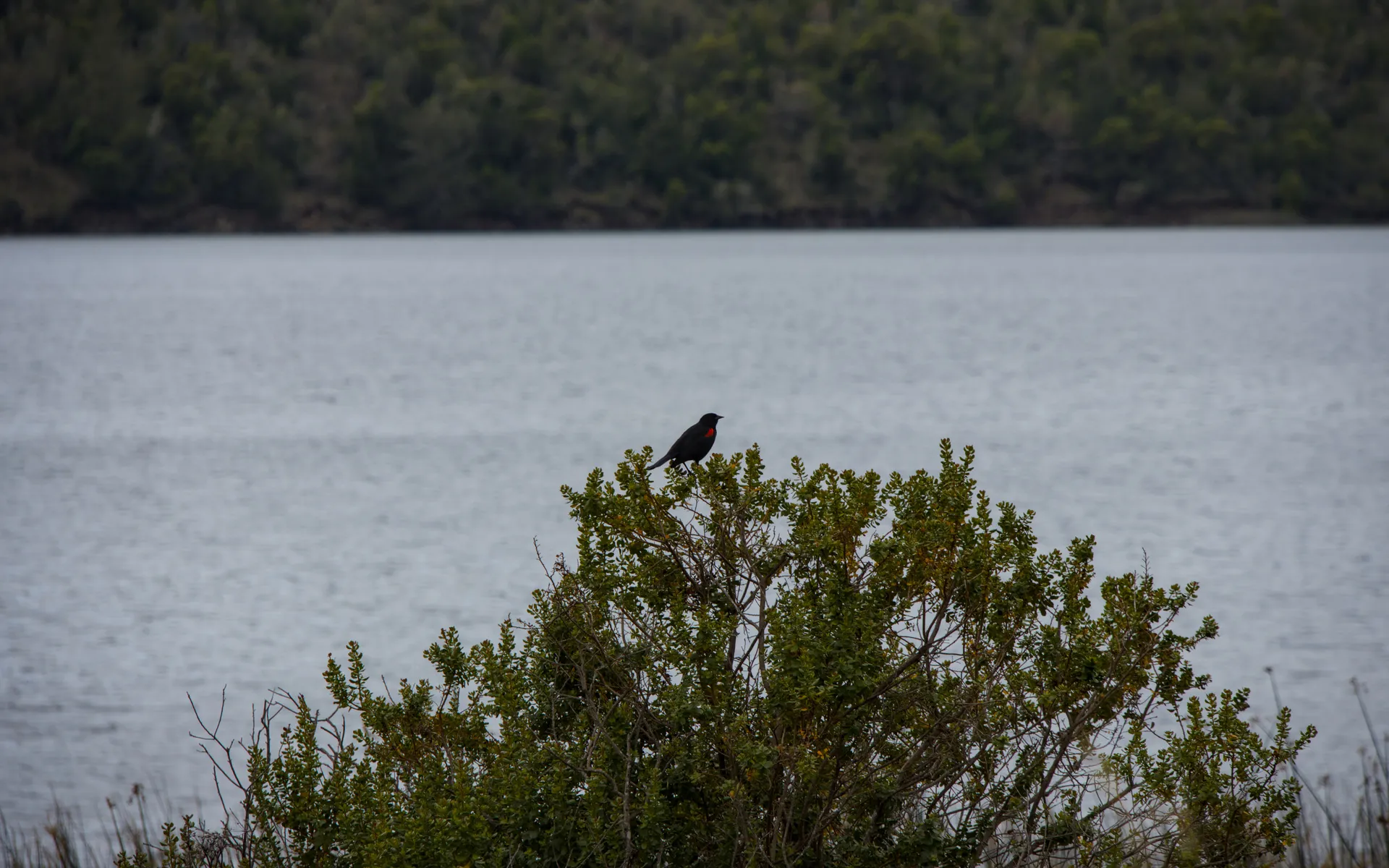 Lake Hennessey - photo 4