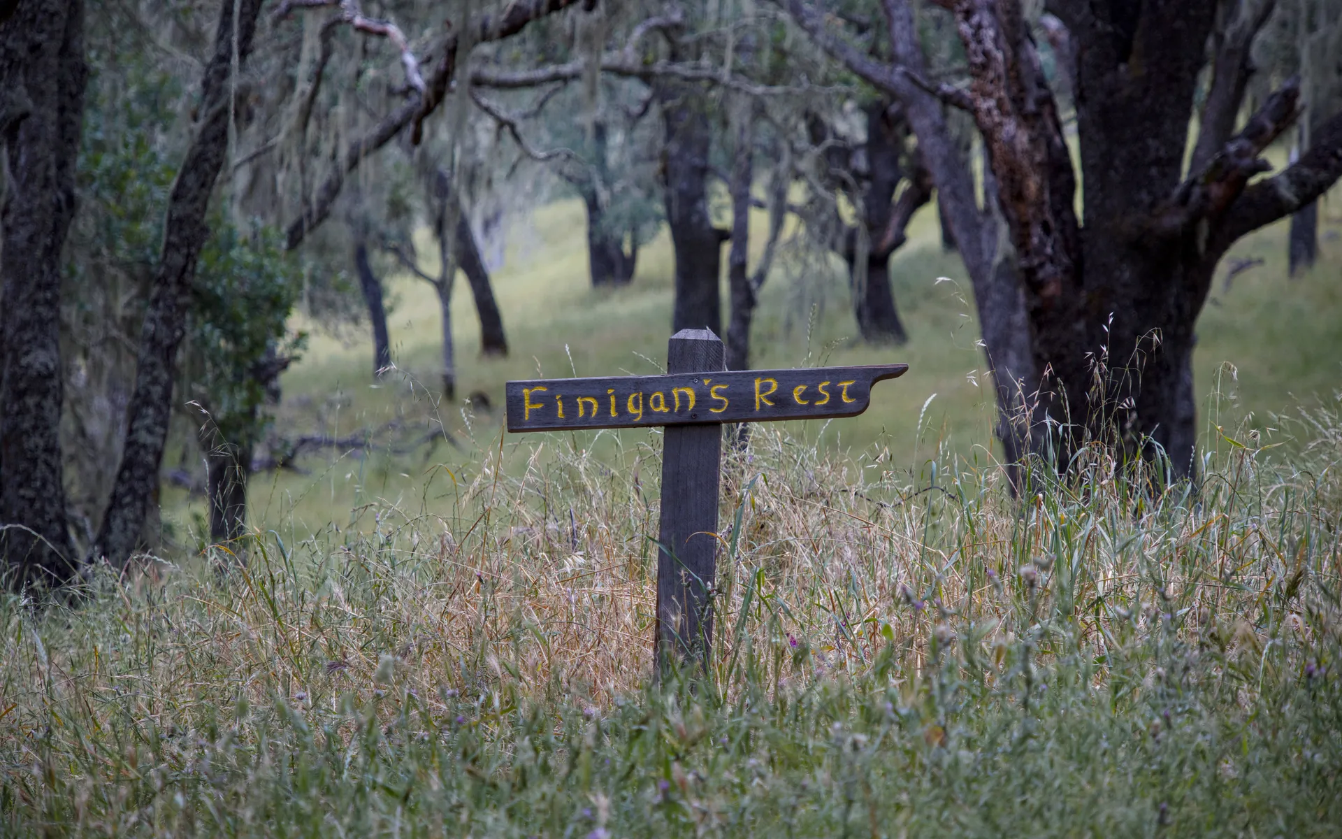 Lake Hennessey - photo 5