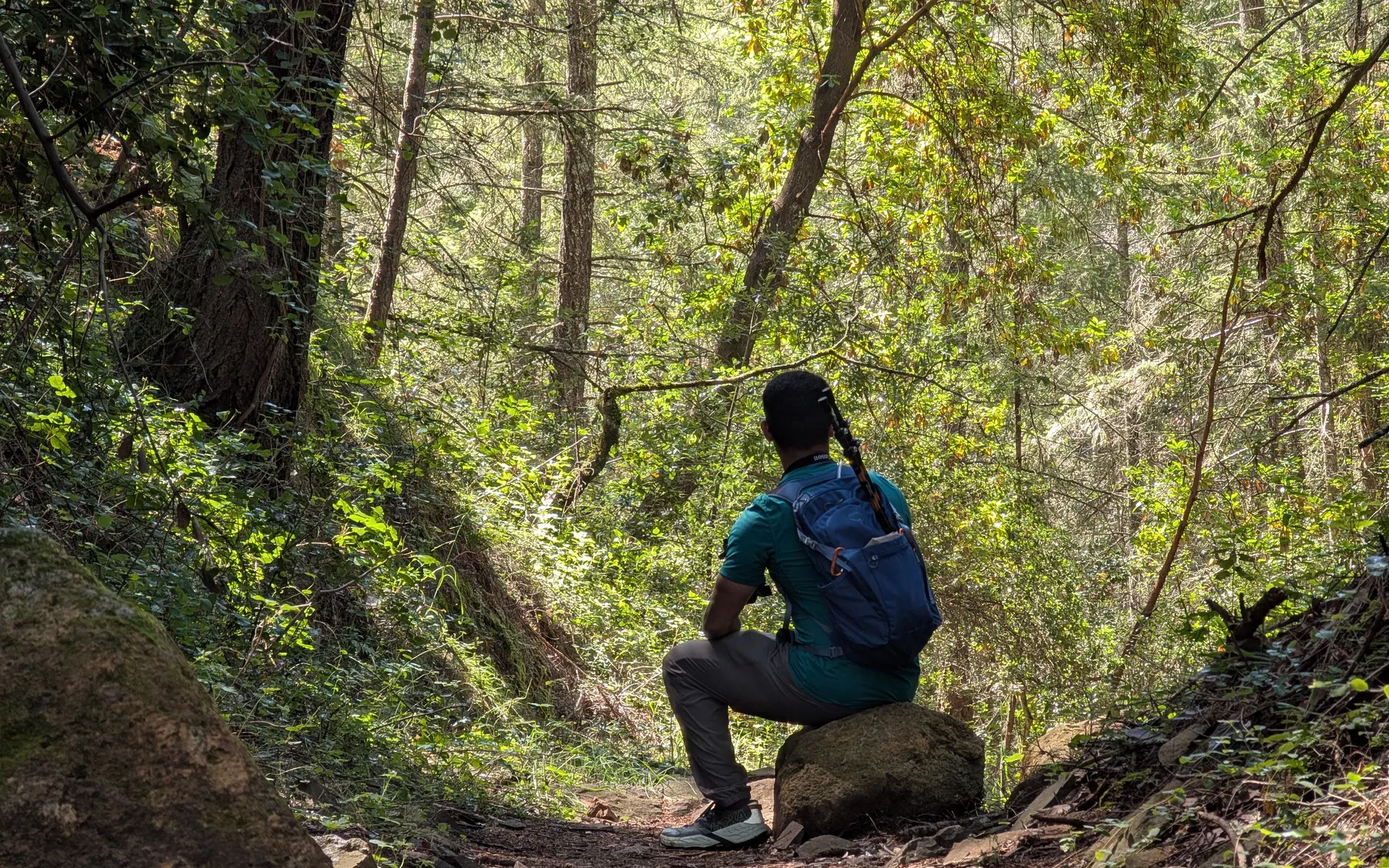 Trione-Annadel State Park - photo 1
