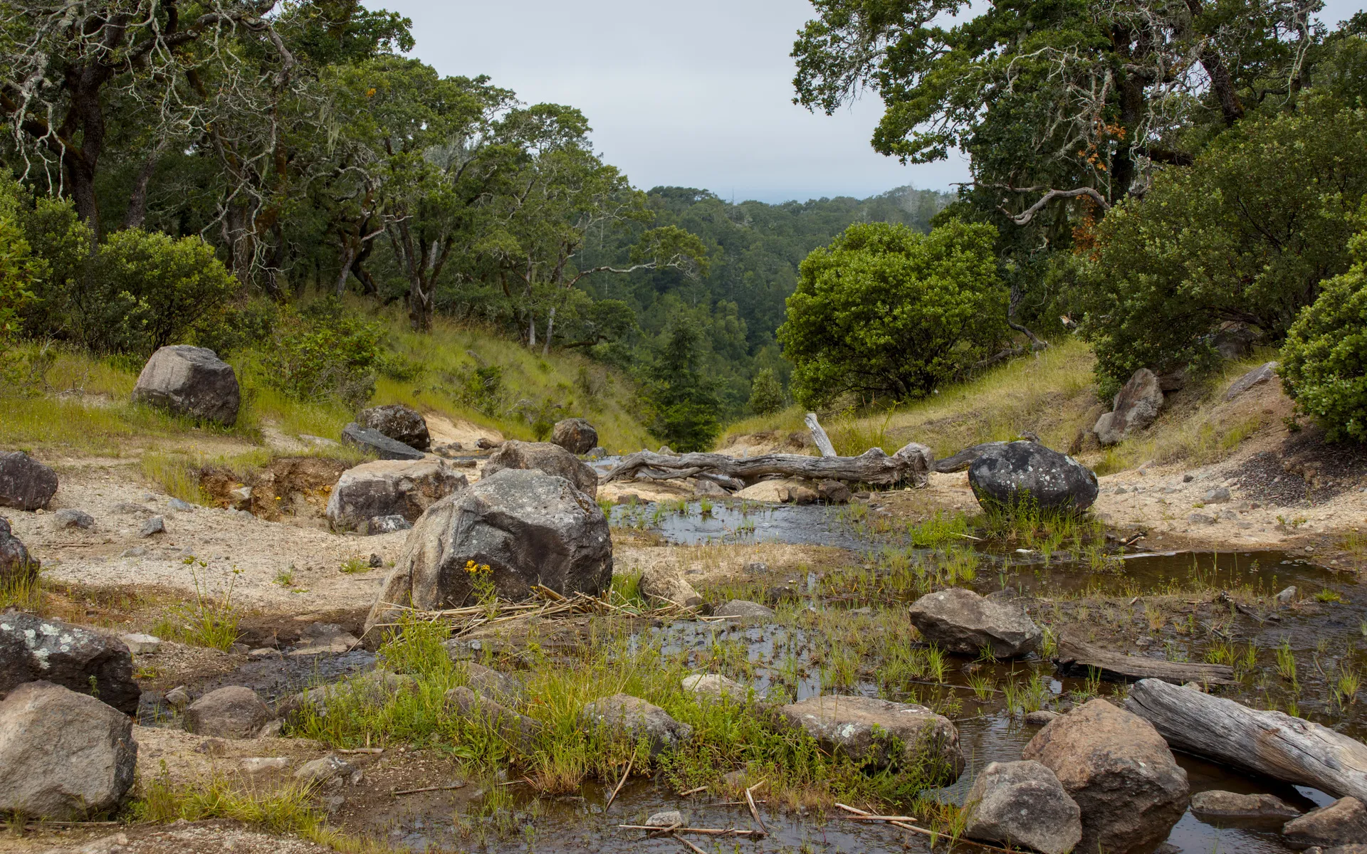 Trione-Annadel State Park - photo 3