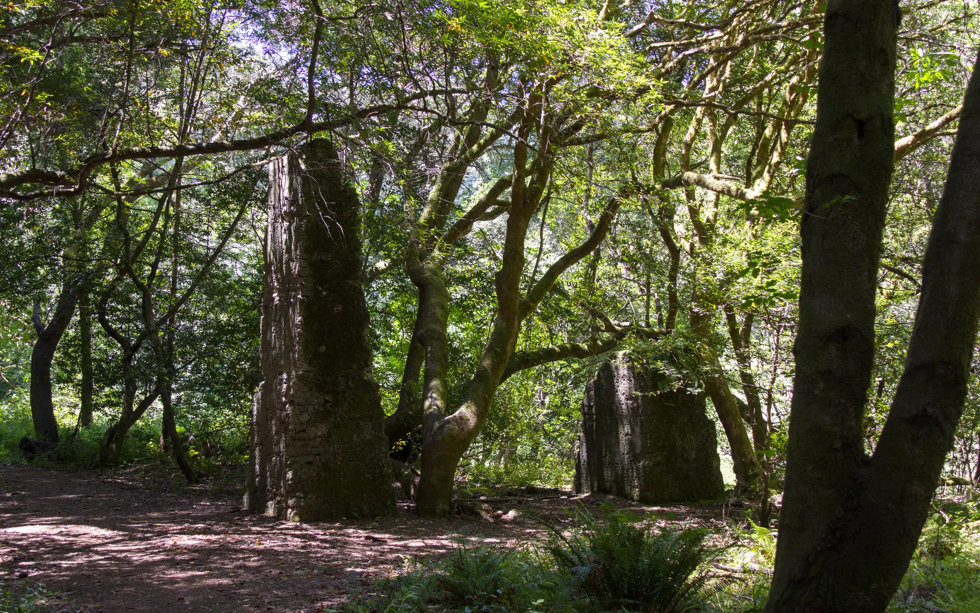 Bolinas Ridge - photo 3