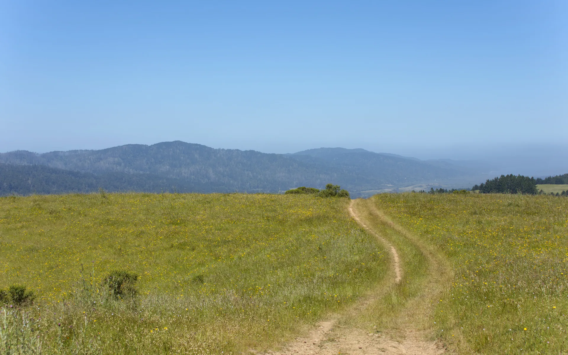 Bolinas Ridge - photo 4