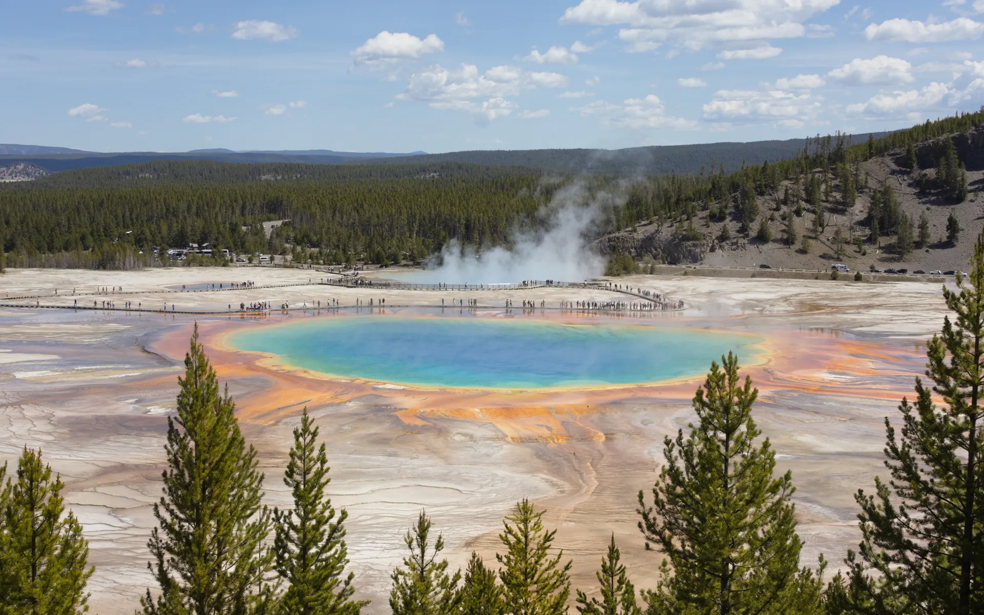 Yellowstone - photo 3