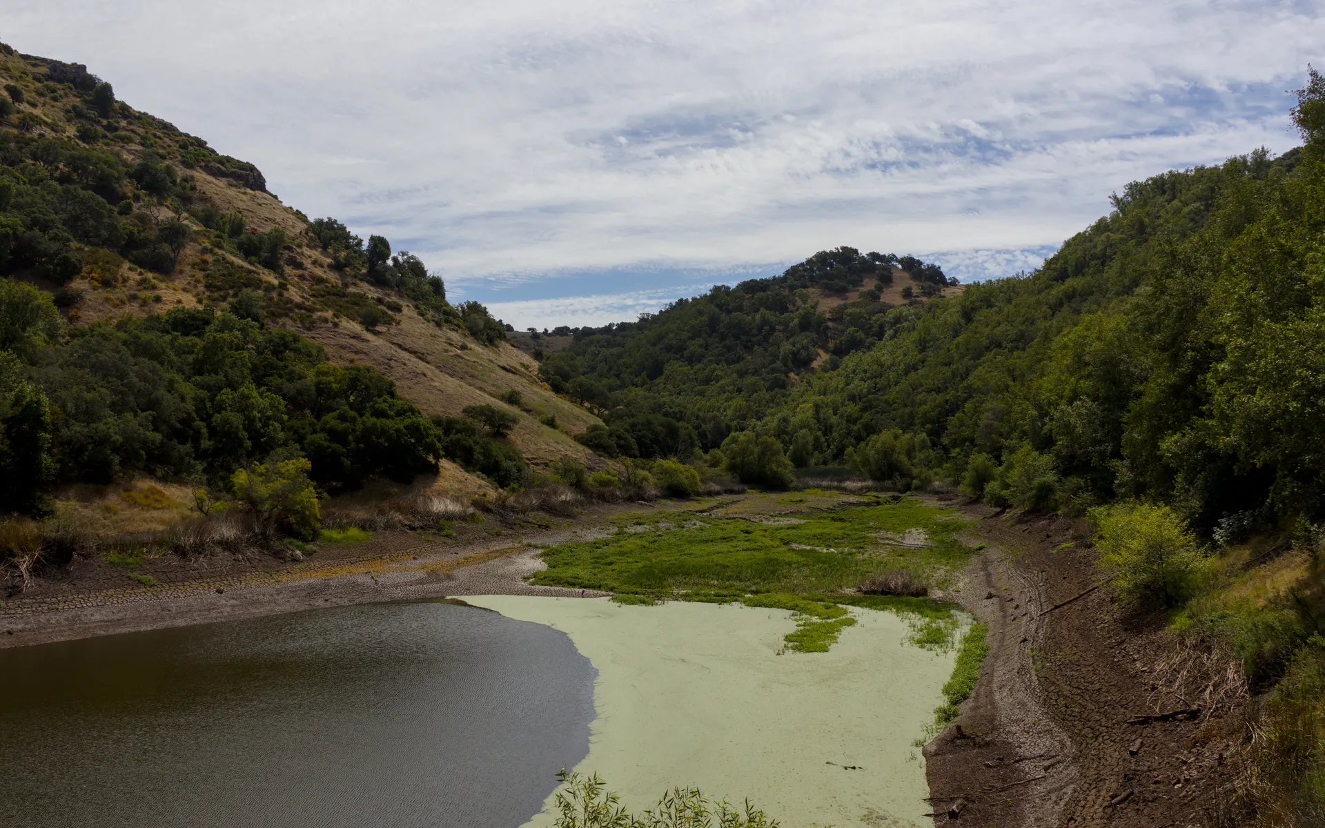 Skyline Wilderness - photo 3