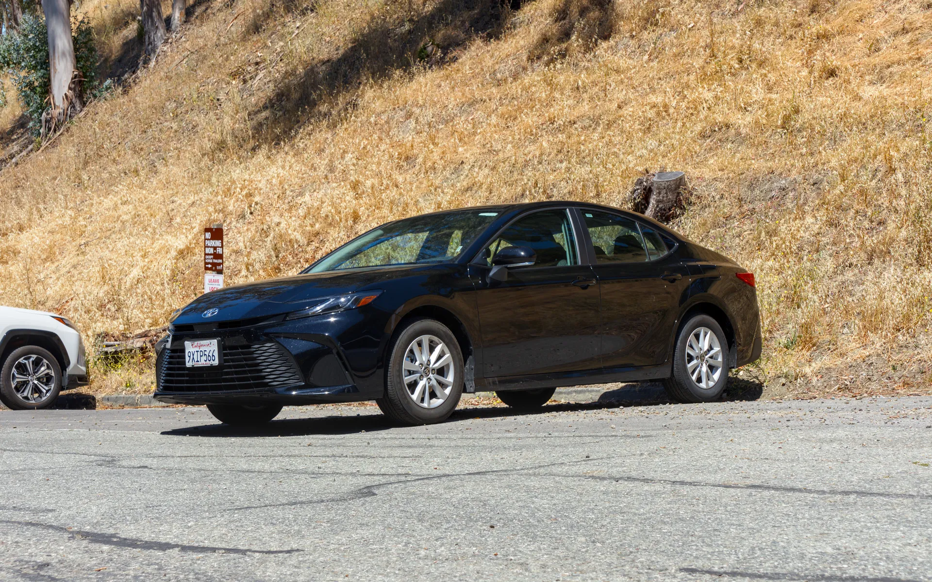 Wildcat Canyon - photo 2