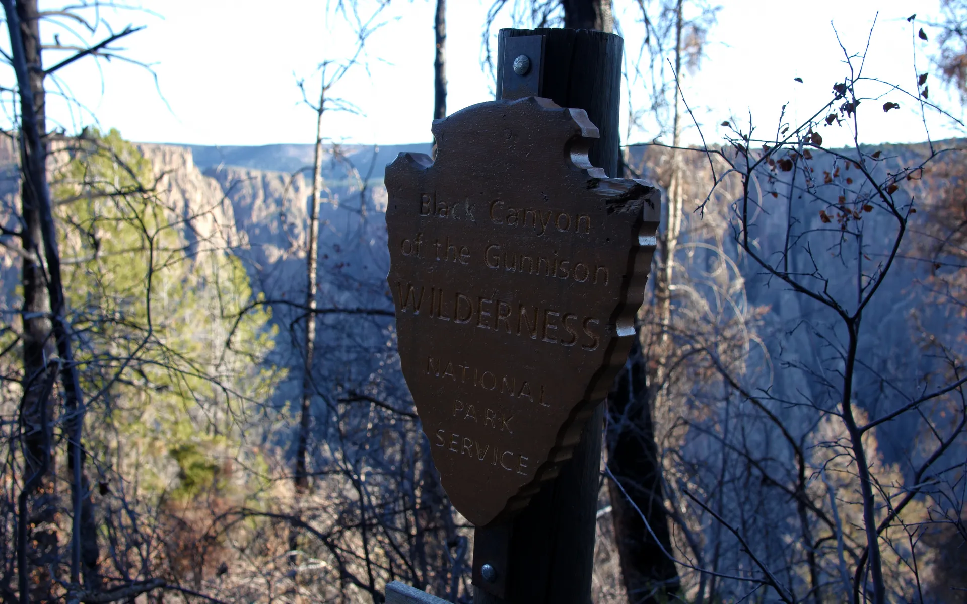 Black Canyon
of the Gunnison - photo 1